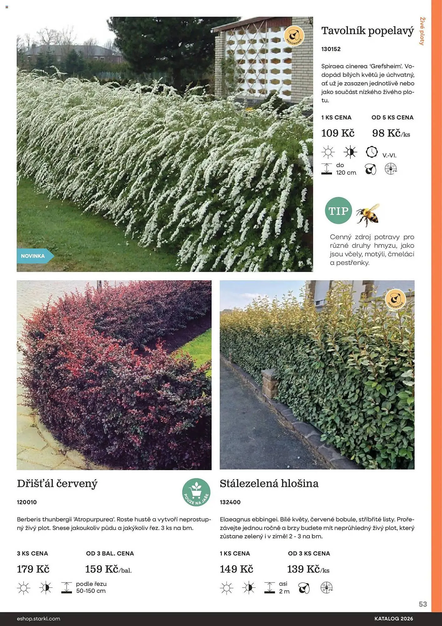 Starkl katalog - 25. února 31. prosince 2026 - Page 53
