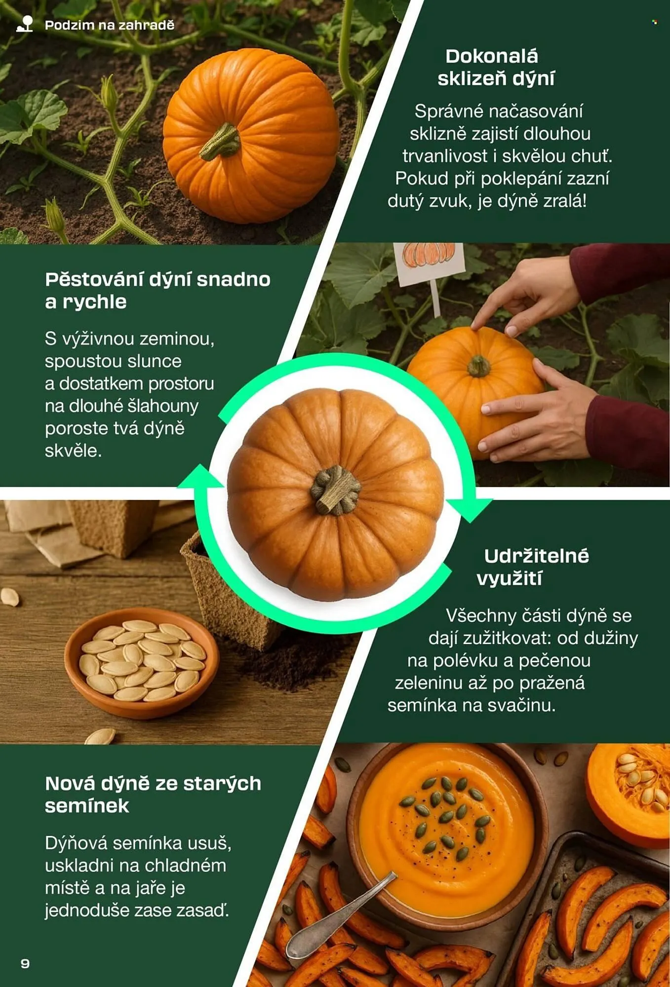 Lidl leták - 30. srpna 30. listopadu 2025 - Page 9