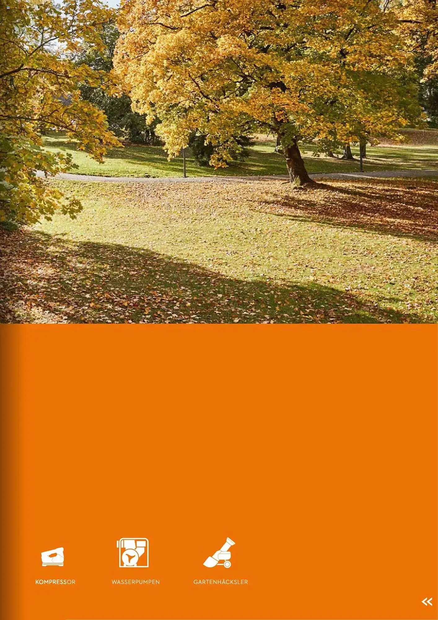 STIHL Prospekt von 1. Januar bis 31. Dezember 2025 - Prospekt seite 271