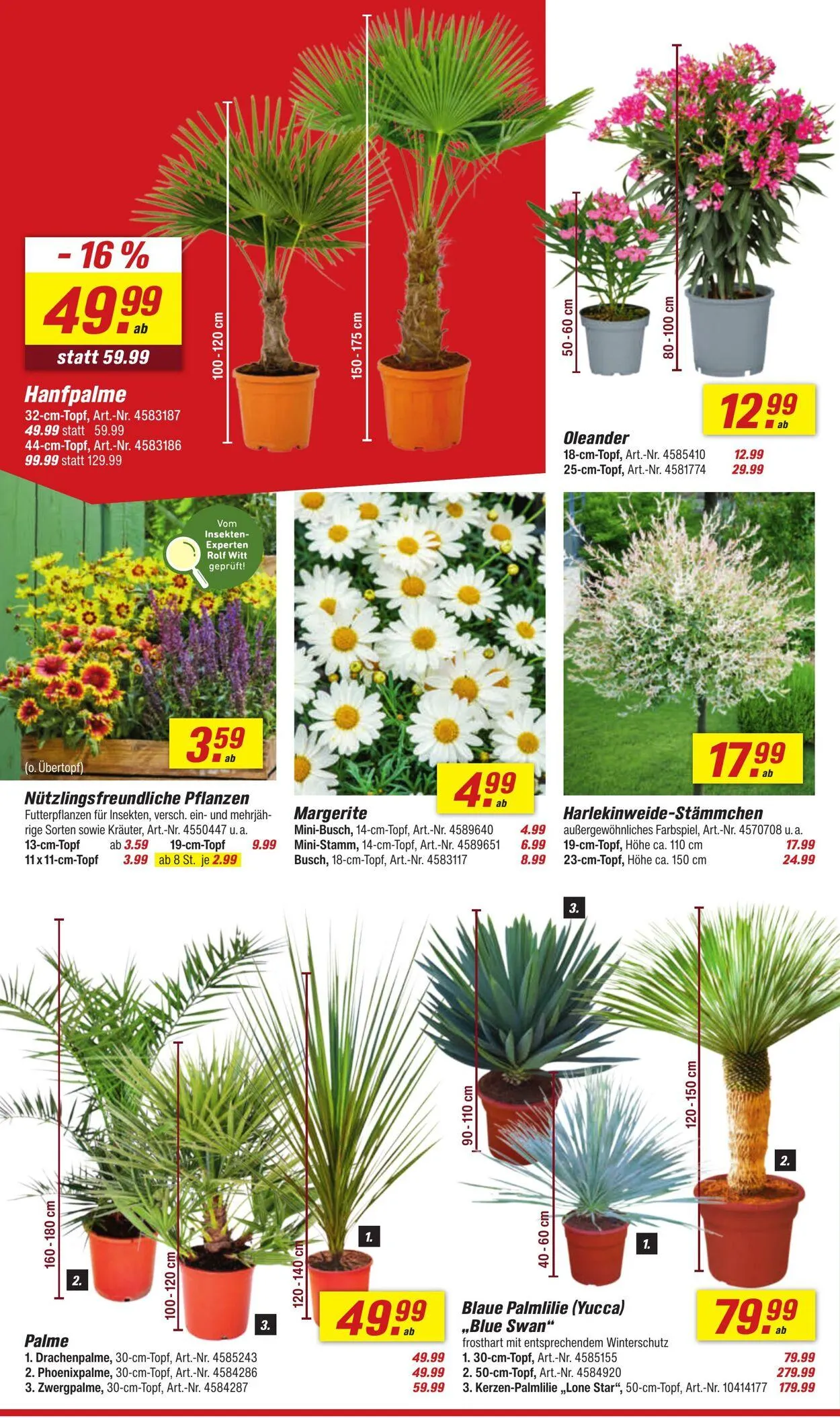 toom Baumarkt Aktueller Prospekt von 1. September bis 15. September 2025 - Prospekt seite 4