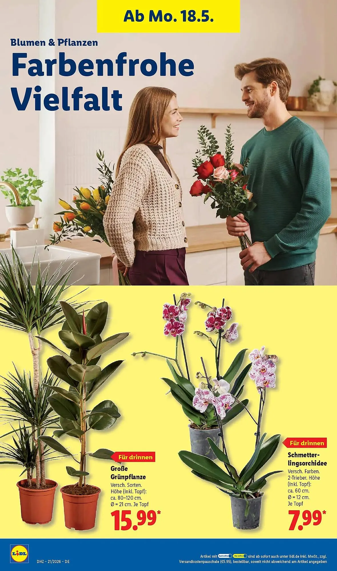 Lidl Prospekt von 17. Mai bis 23. Mai 2026 - Prospekt seite 70