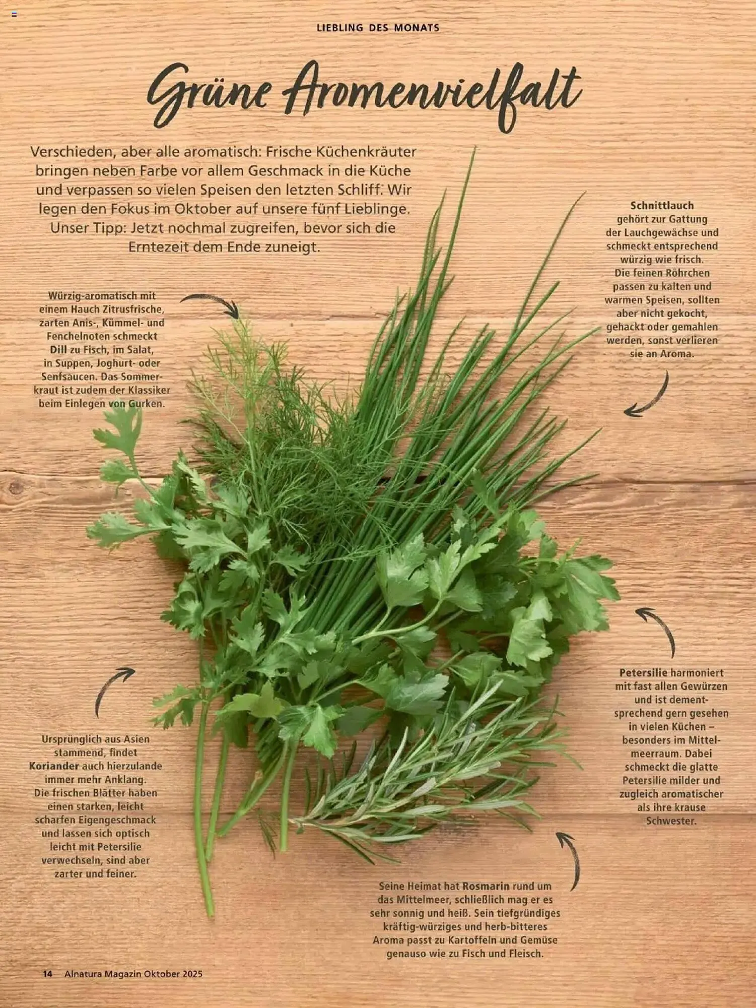 Alnatura Prospekt von 1. Oktober bis 31. Oktober 2025 - Prospekt seite 14