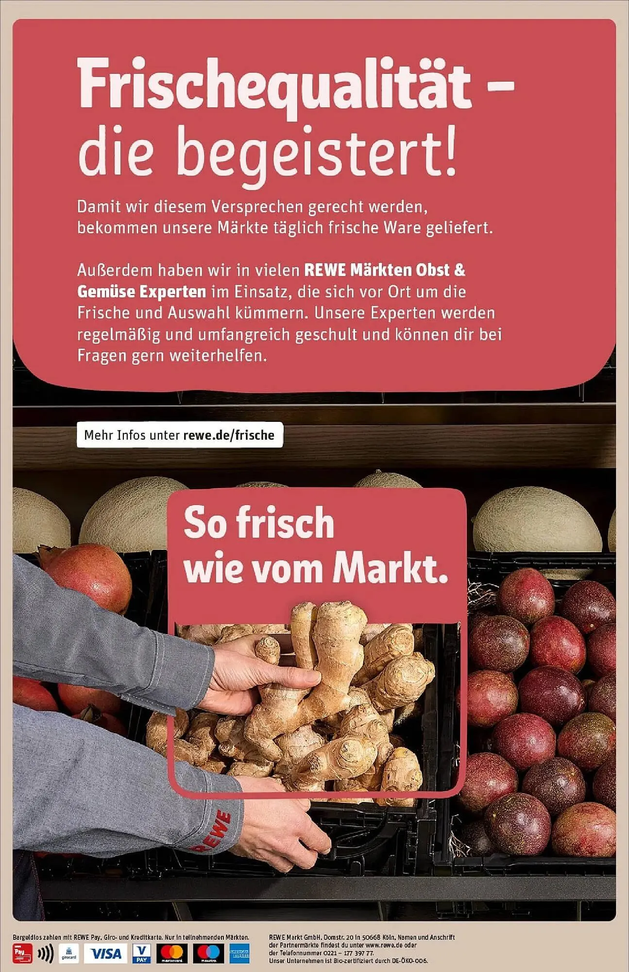 REWE Prospekt von 23. November bis 30. November 2025 - Prospekt seite 34