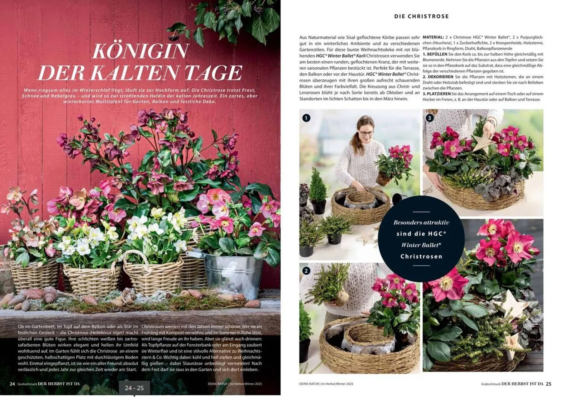 Dehner Prospekt von 24. Oktober bis 31. Dezember 2025 - Prospekt seite 13
