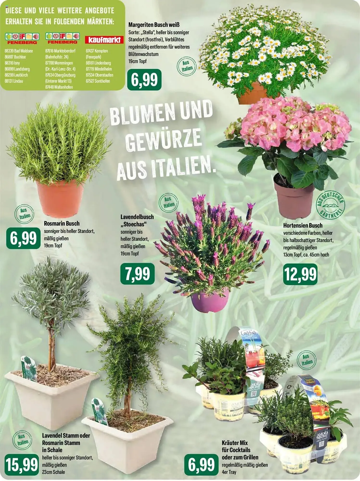 Feneberg Prospekt von 10. April bis 12. April 2025 - Prospekt seite 13