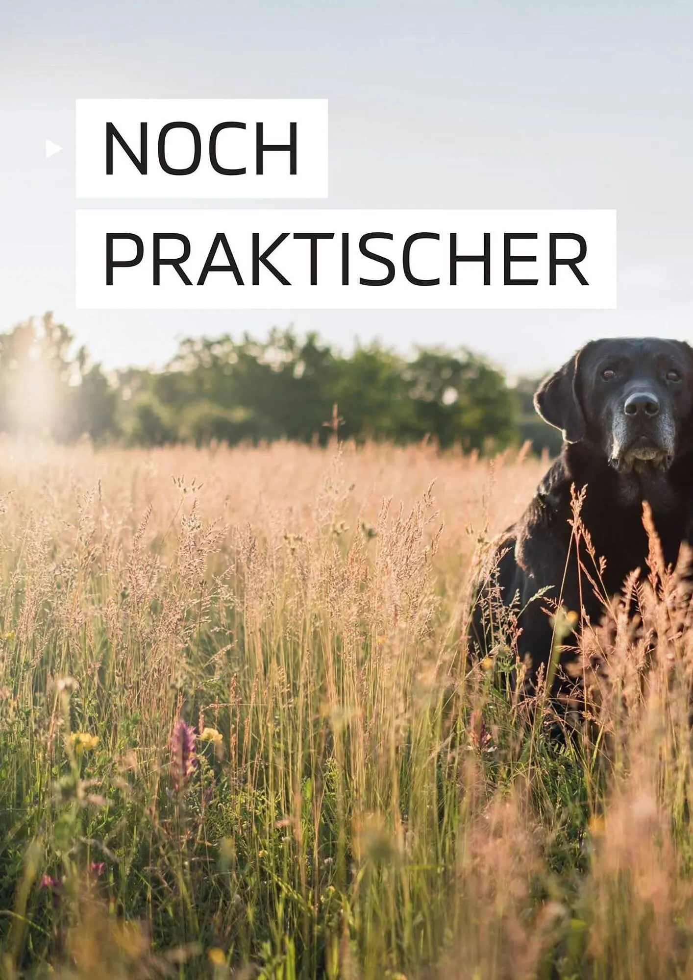 Mitsubishi Prospekt von 18. Juli bis 18. Juli 2025 - Prospekt seite 24