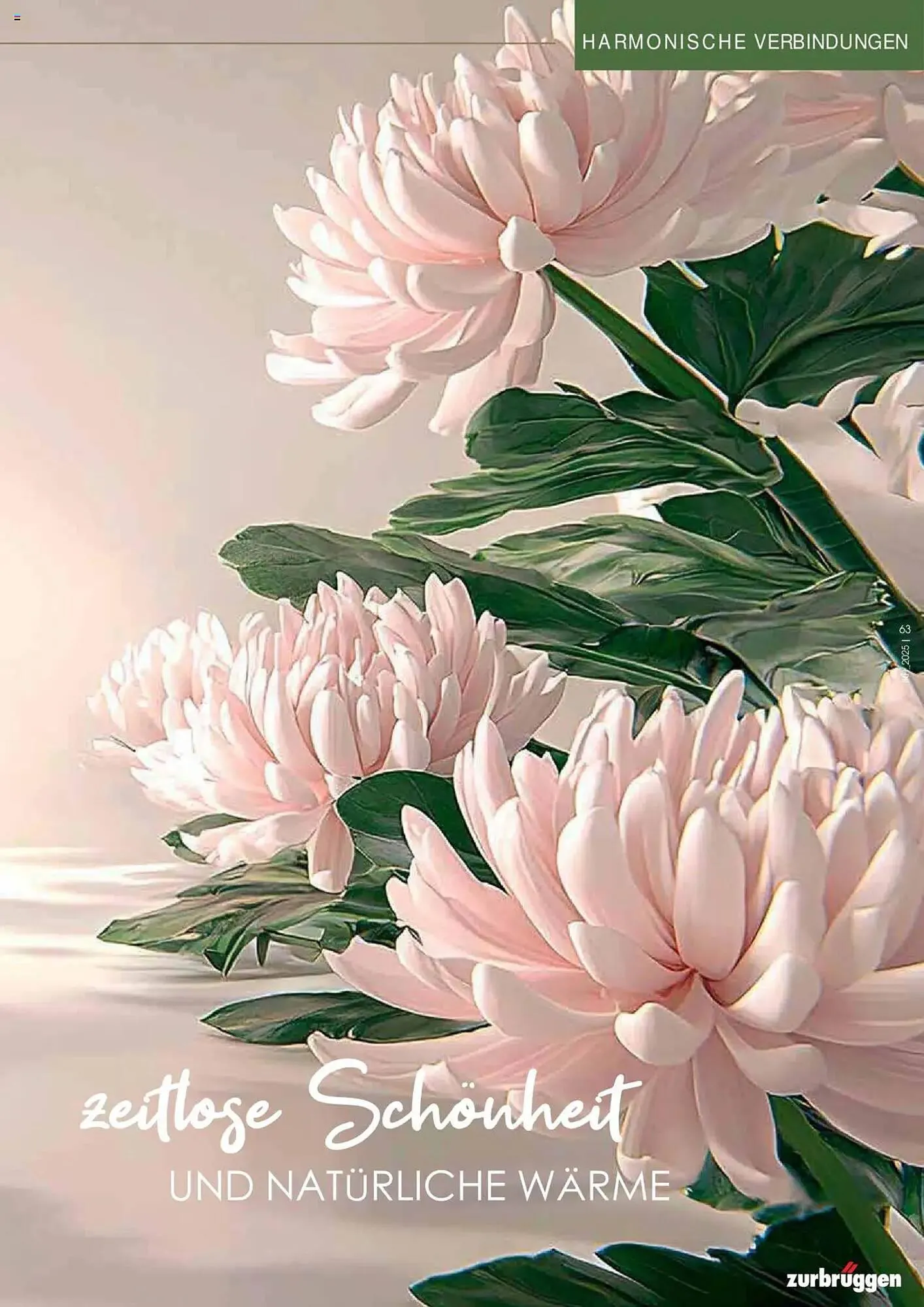 Zurbrüggen Prospekt von 2. Mai bis 31. Dezember 2025 - Prospekt seite 63