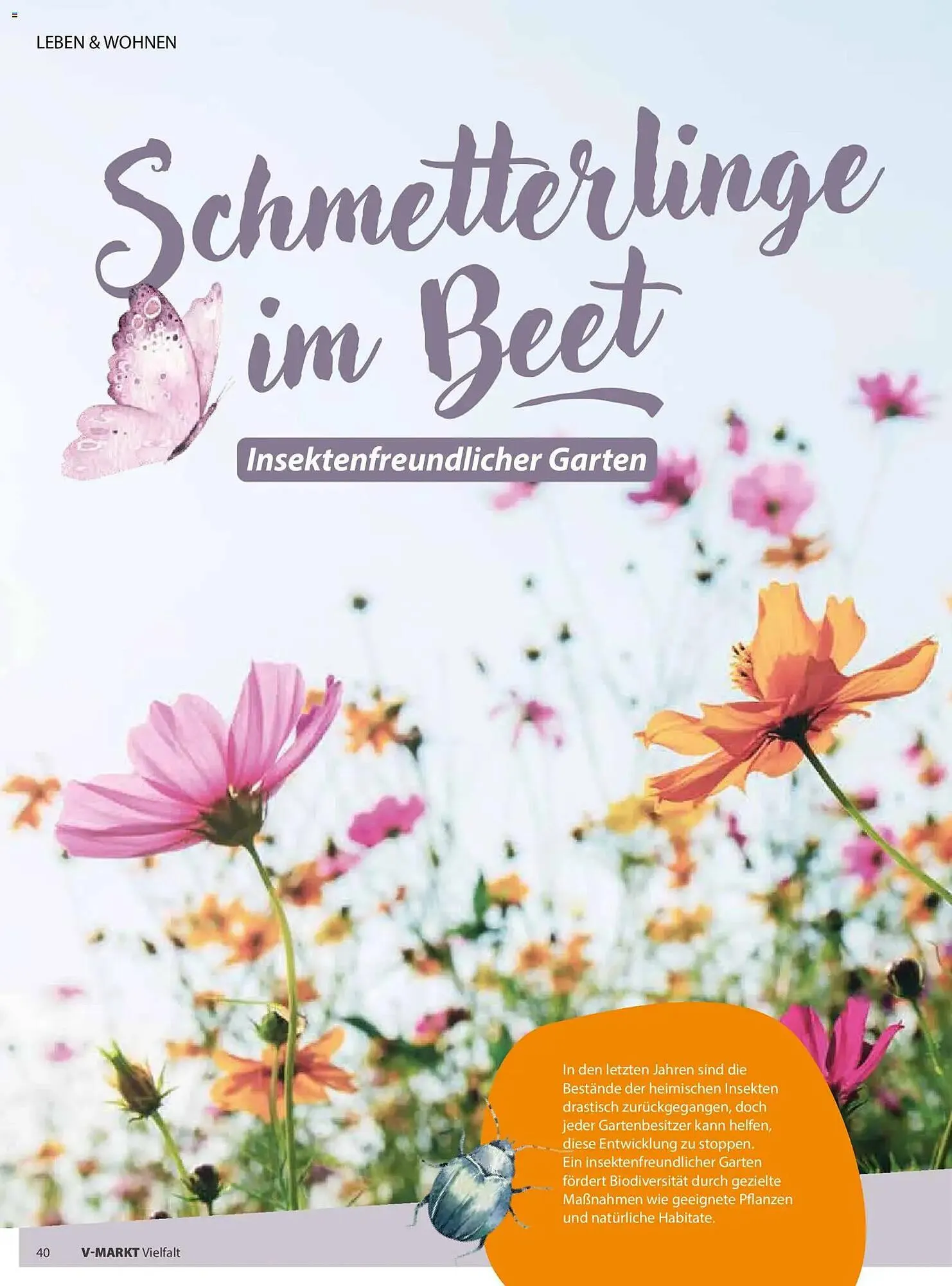 V Markt Magazin von 1. Mai bis 30. Juni 2026 - Prospekt seite 40