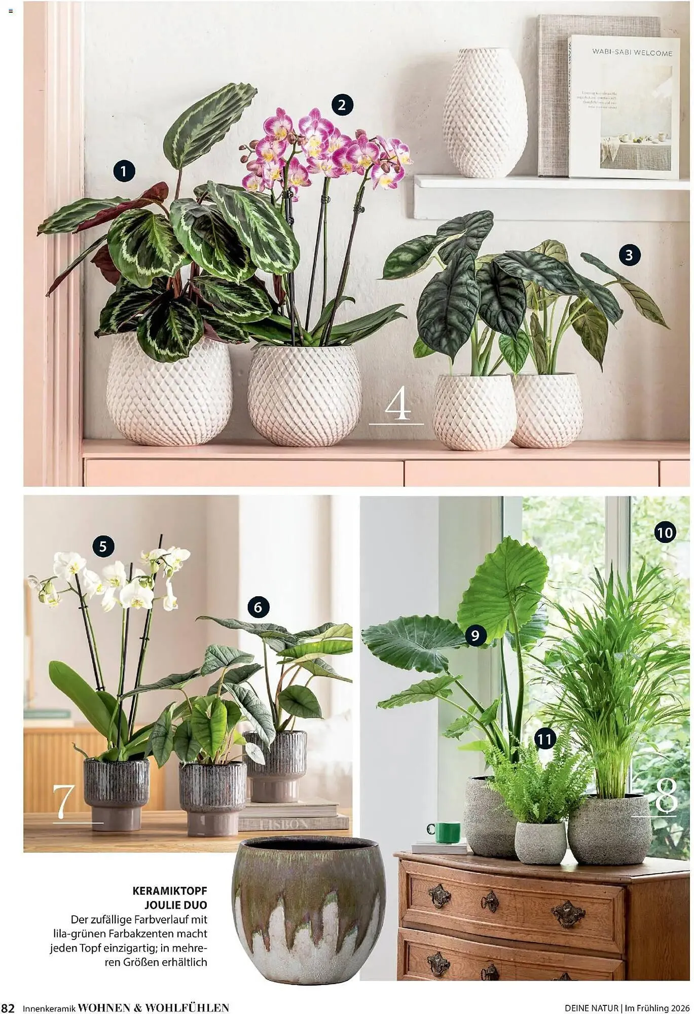 Dehner Prospekt von 4. März bis 31. Mai 2026 - Prospekt seite 82