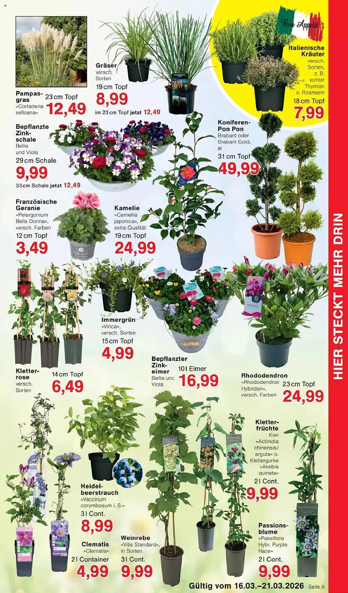 Jawoll Prospekt von 16. März bis 21. März 2026 - Prospekt seite 7