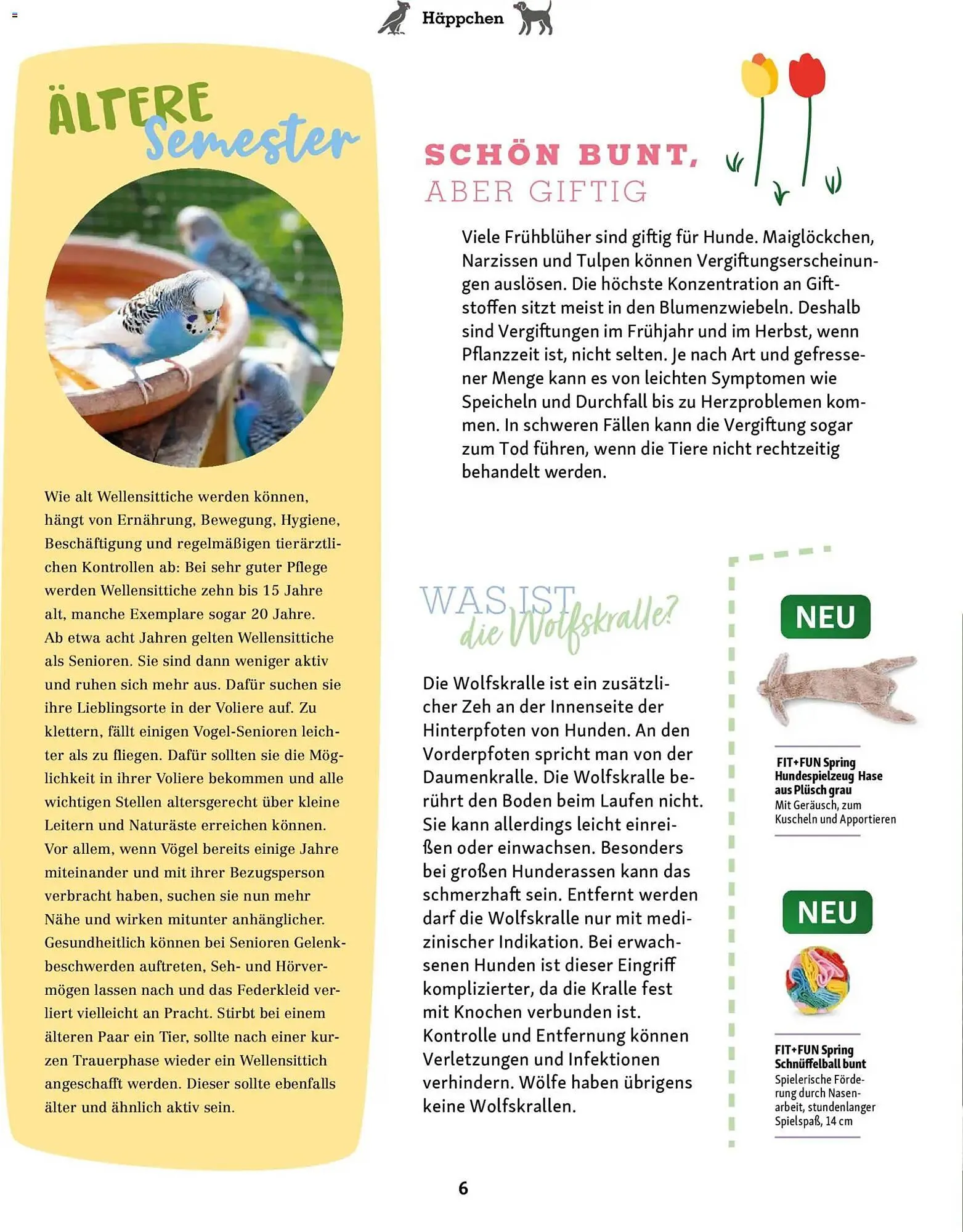 Fressnapf Magazin von 2. März bis 30. April 2026 - Prospekt seite 6