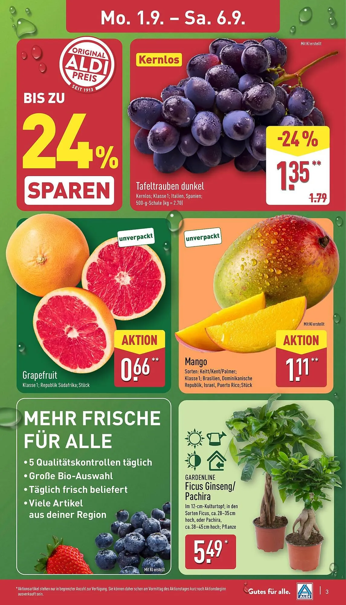 Aldi Nord Prospekt von 1. September bis 6. September 2025 - Prospekt seite 3
