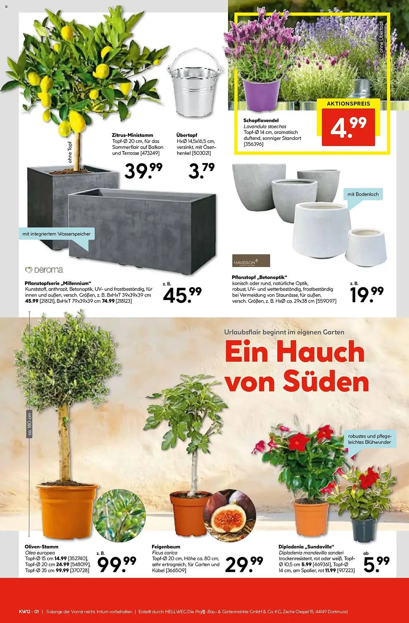 Hellweg Prospekt von 16. März bis 21. März 2026 - Prospekt seite 17