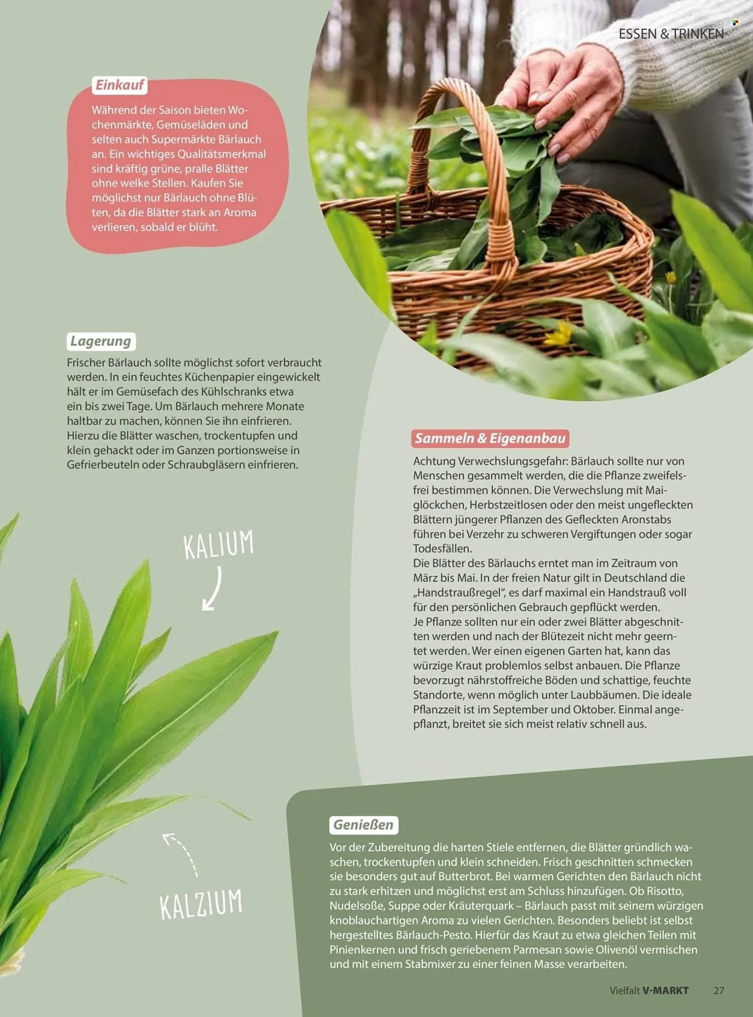 V Markt Magazin von 1. März bis 30. April 2026 - Prospekt seite 27