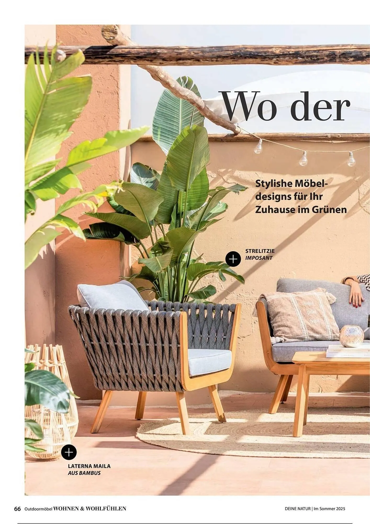 Dehner Prospekt von 1. Juli bis 31. Dezember 2025 - Prospekt seite 66