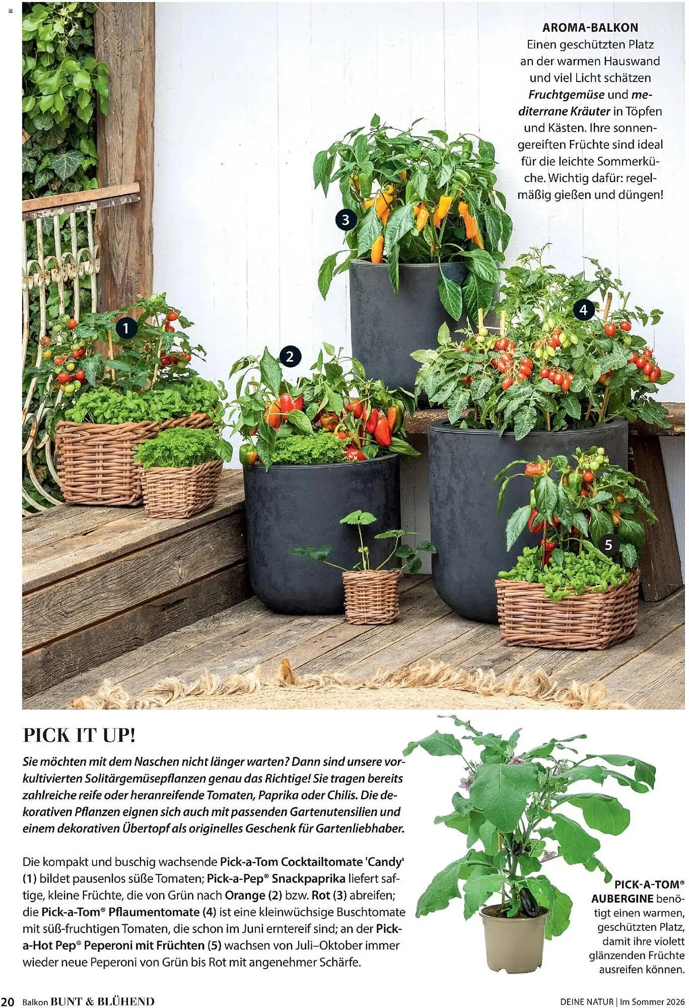 Dehner Prospekt von 17. April bis 31. August 2026 - Prospekt seite 20