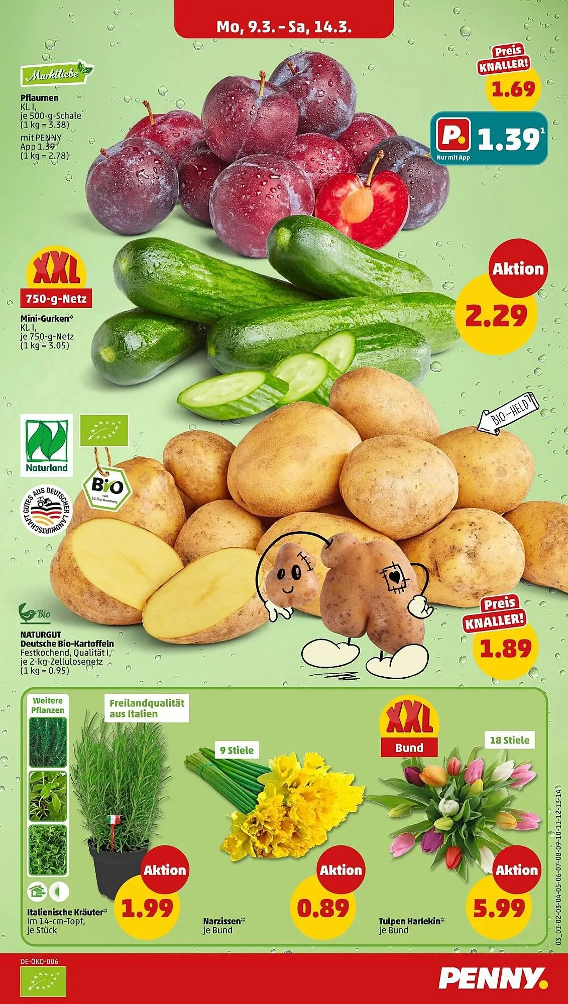 PENNY Prospekt von 9. März bis 14. März 2026 - Prospekt seite 3