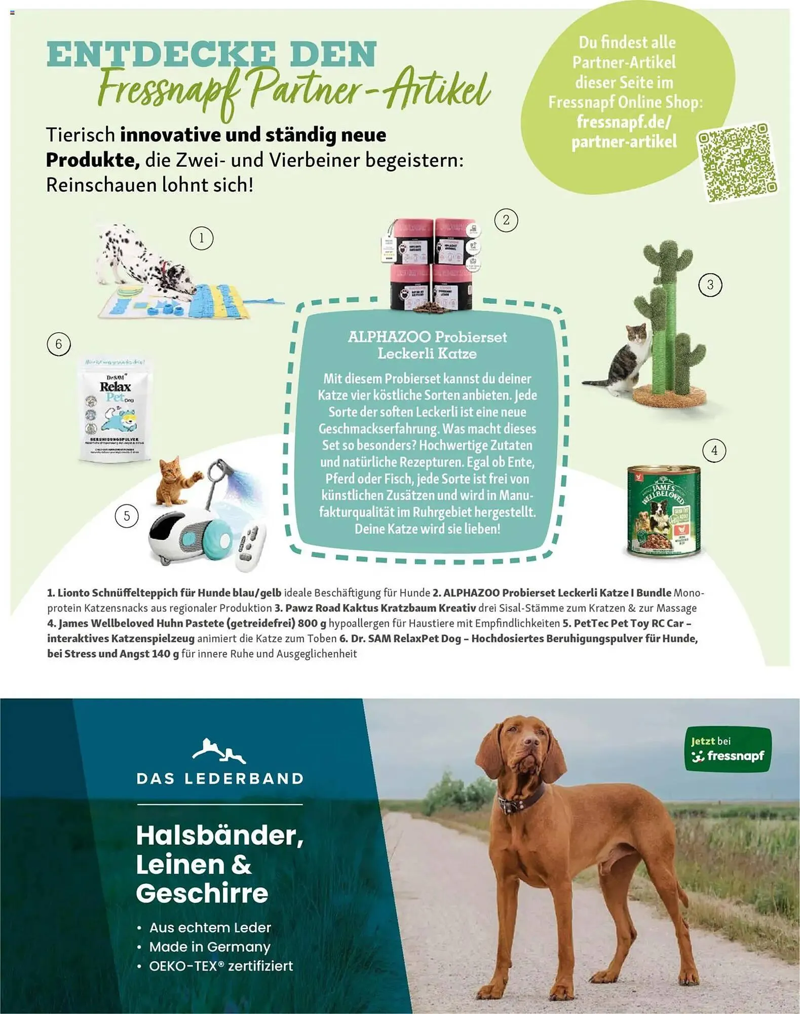 Fressnapf Magazin von 1. November bis 31. Dezember 2025 - Prospekt seite 51