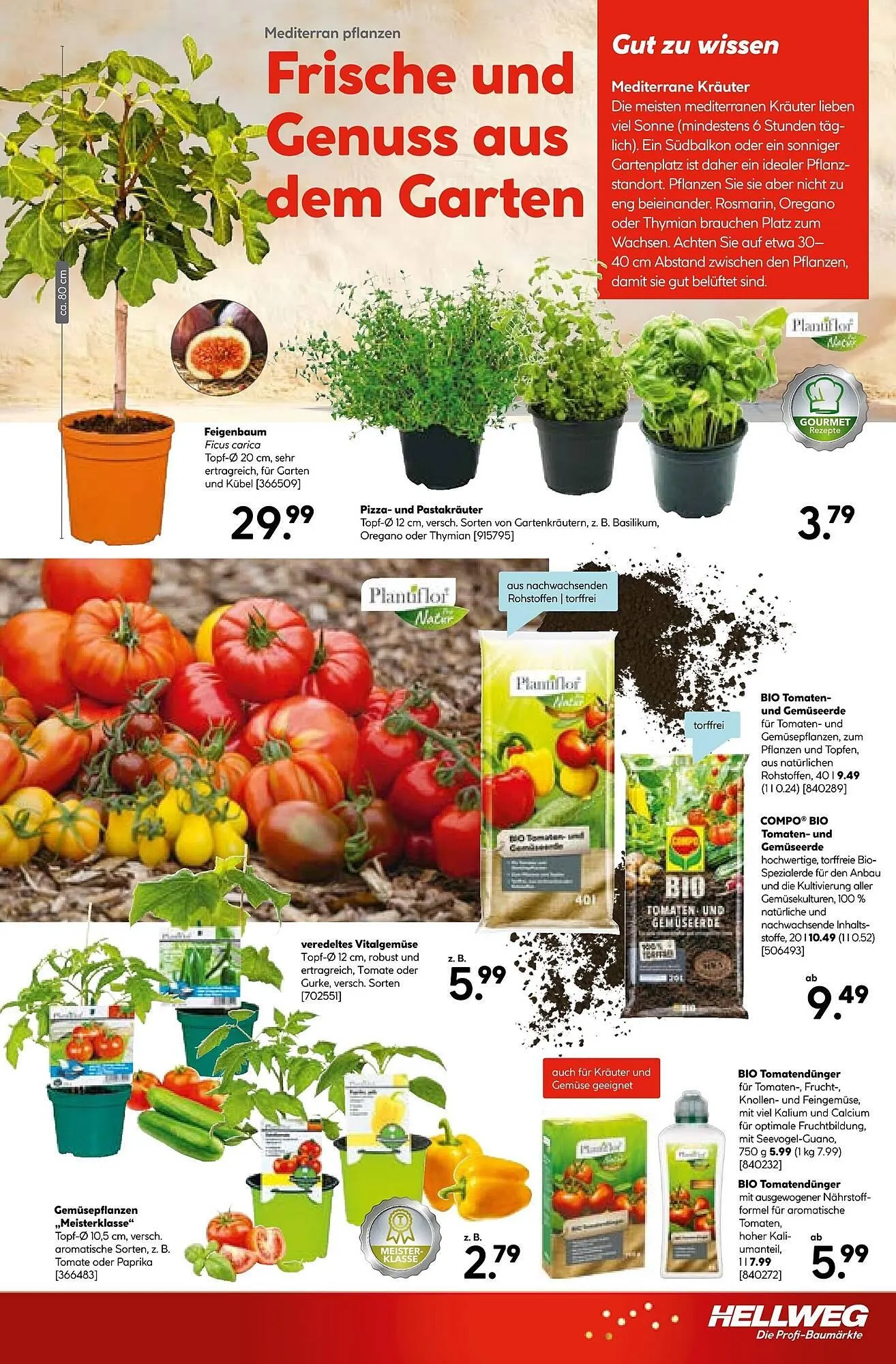 Hellweg Prospekt von 7. April bis 11. April 2026 - Prospekt seite 13