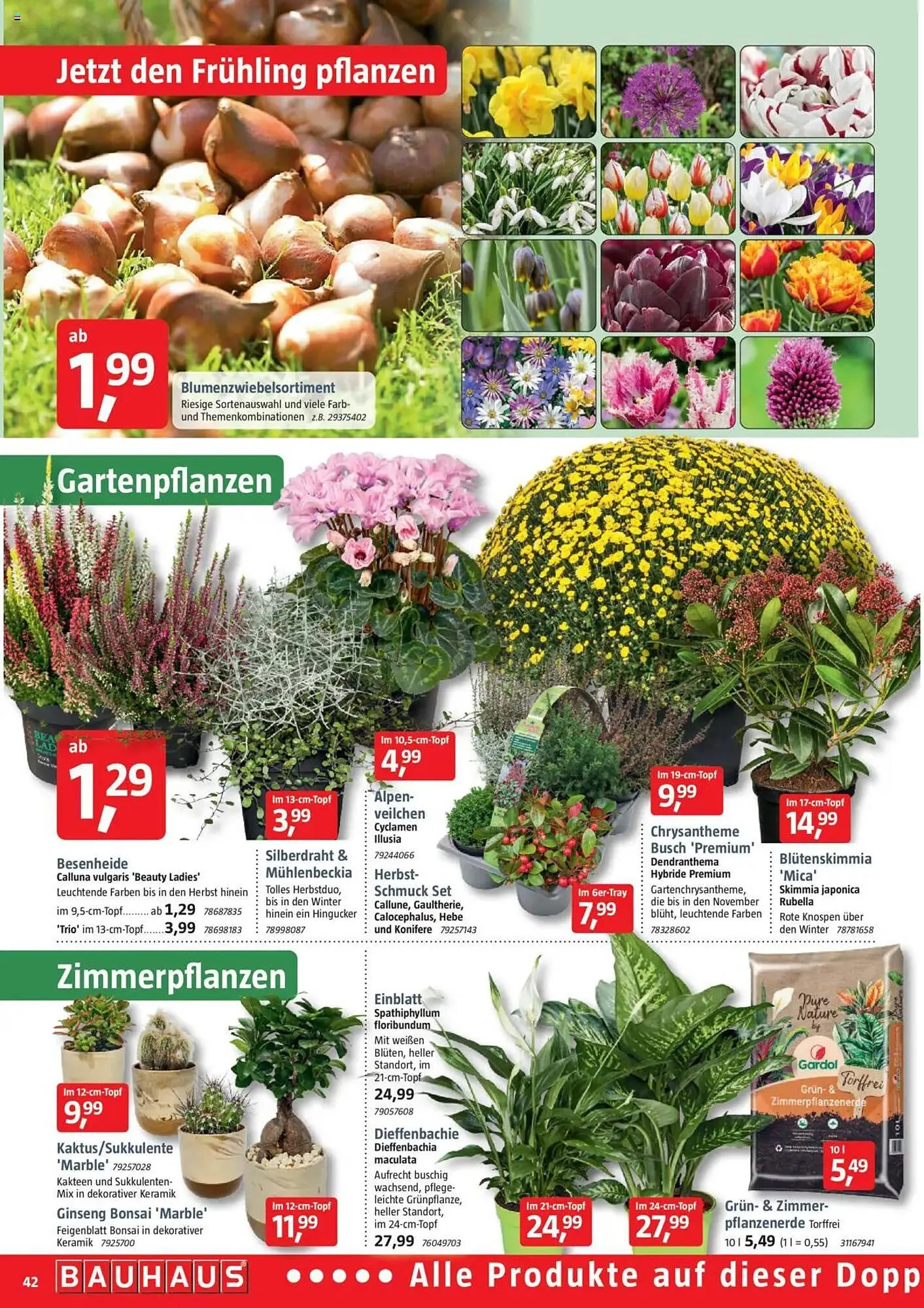 Bauhaus Prospekt von 4. Oktober bis 1. November 2025 - Prospekt seite 42