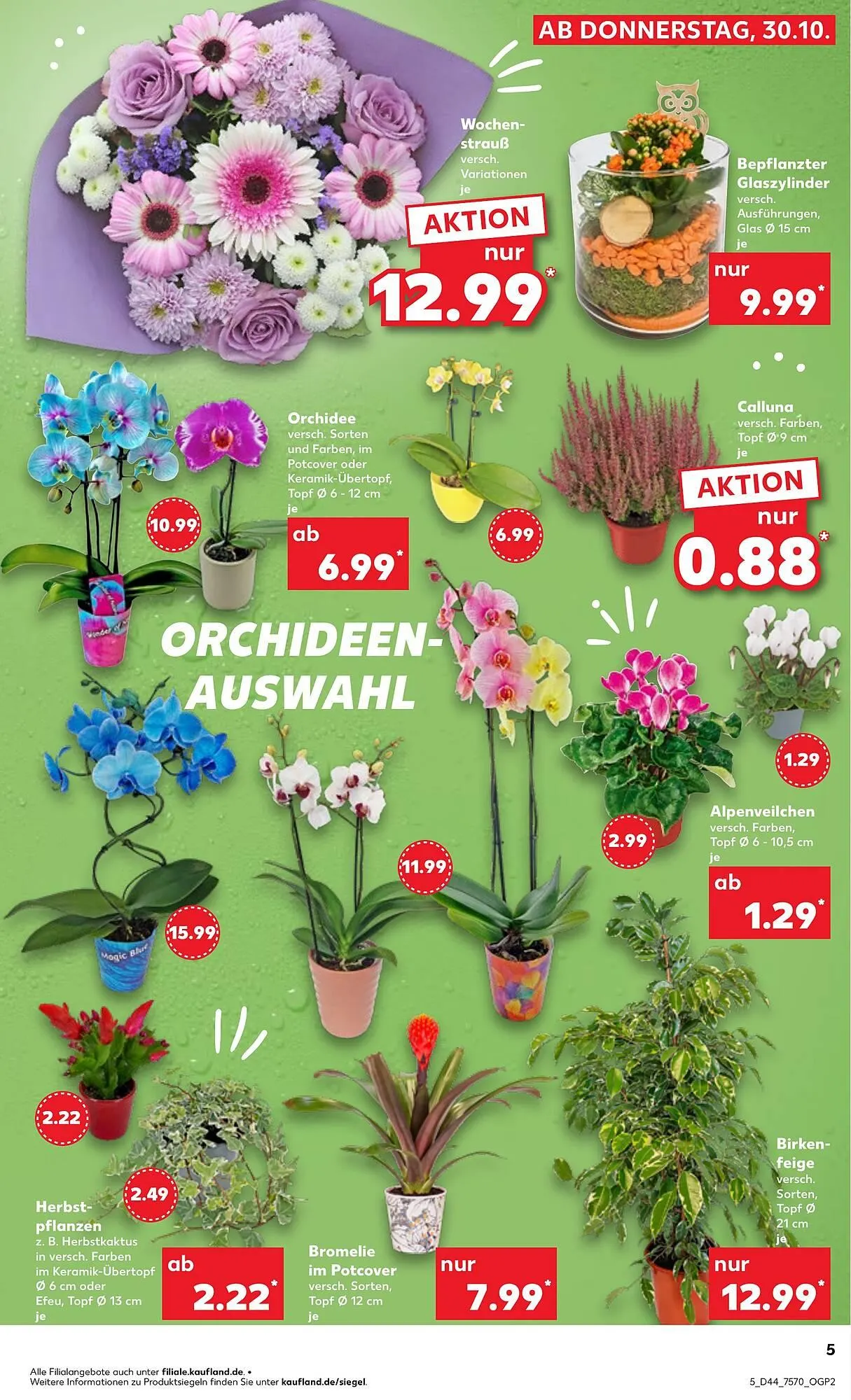 Kaufland Prospekt von 30. Oktober bis 5. November 2025 - Prospekt seite 5