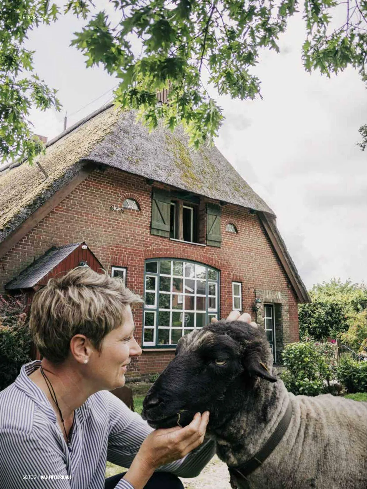 Futterhaus Aktueller Prospekt von 1. Oktober bis 31. Oktober 2025 - Prospekt seite 6