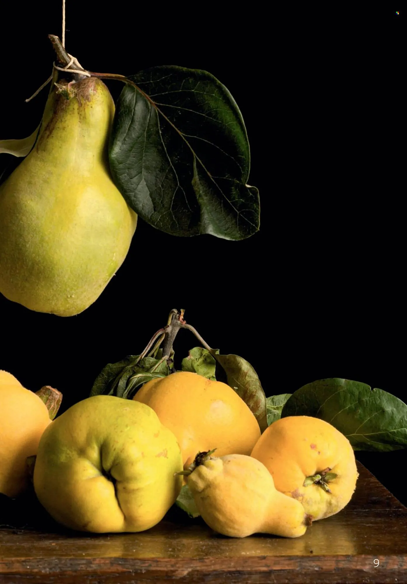 Rossmann Prospekt von 1. Oktober bis 31. Oktober 2025 - Prospekt seite 9