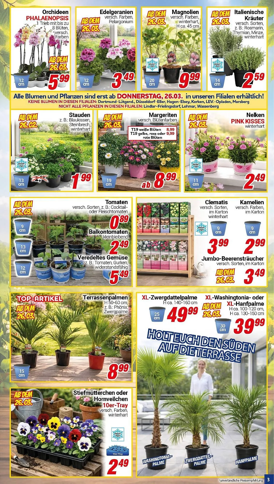 CENTERSHOP Prospekt von 23. März bis 28. März 2026 - Prospekt seite 3