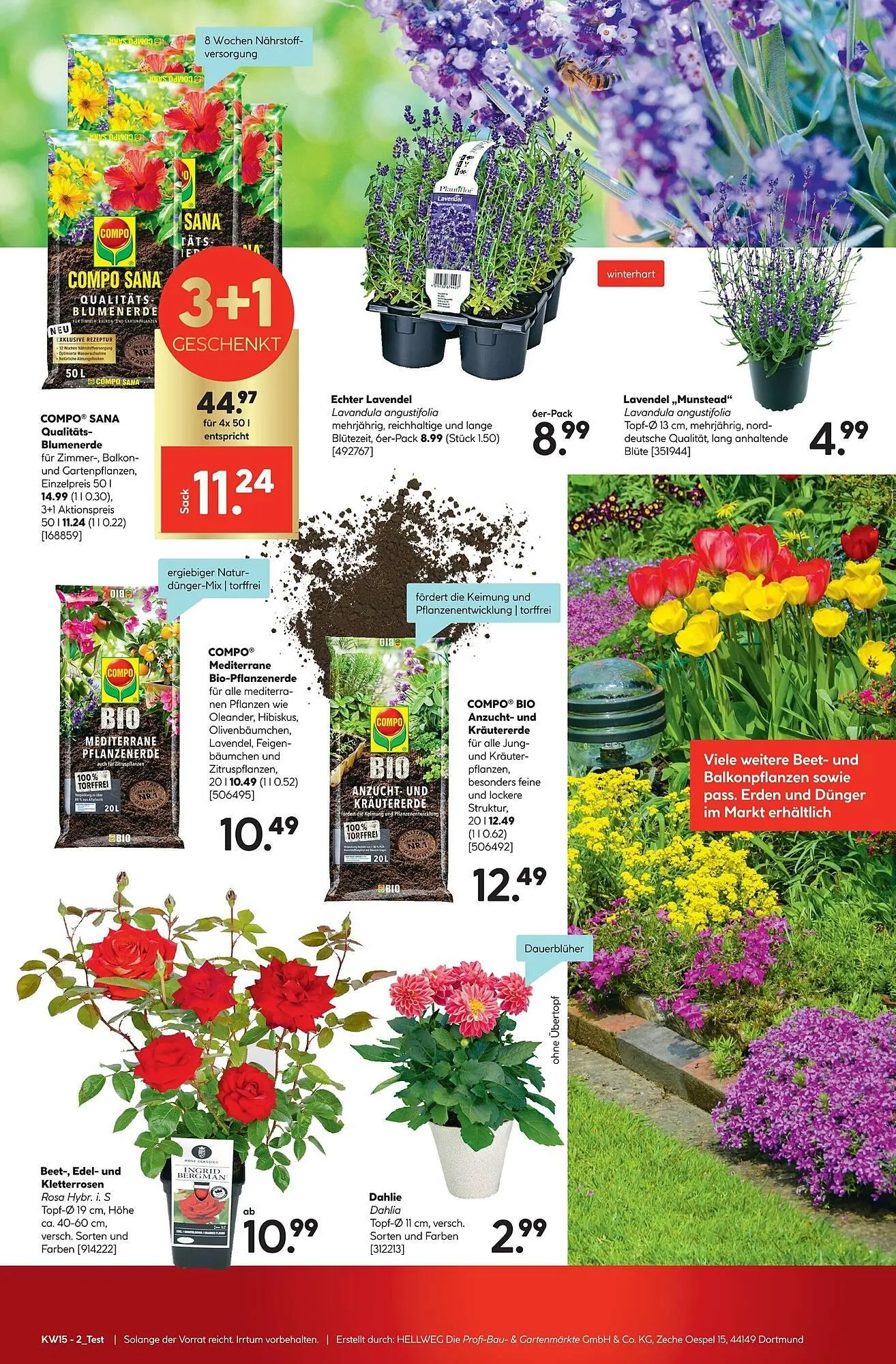 Hellweg Prospekt von 7. April bis 11. April 2026 - Prospekt seite 15