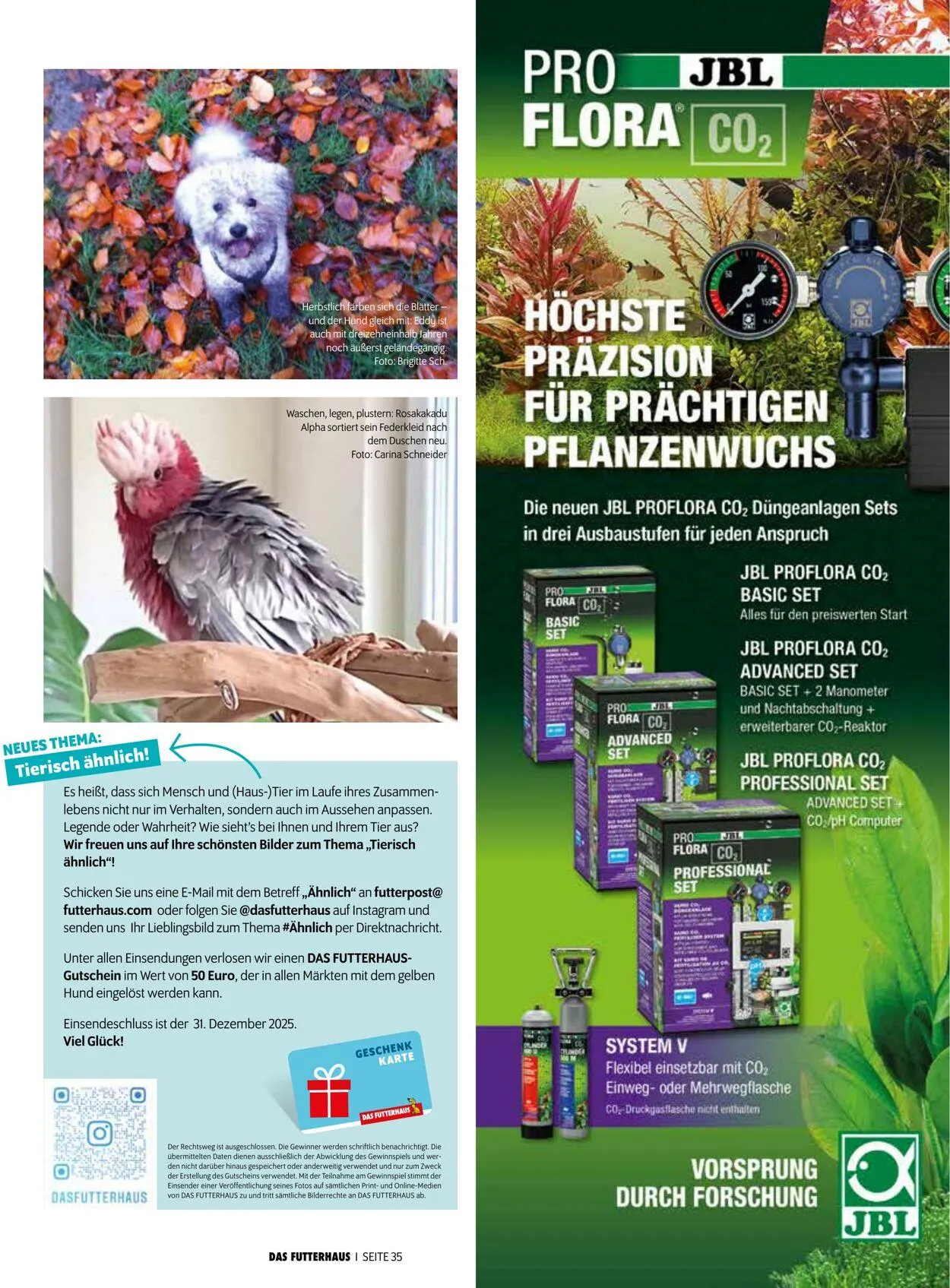 Futterhaus Aktueller Prospekt von 1. Dezember bis 31. Dezember 2025 - Prospekt seite 35