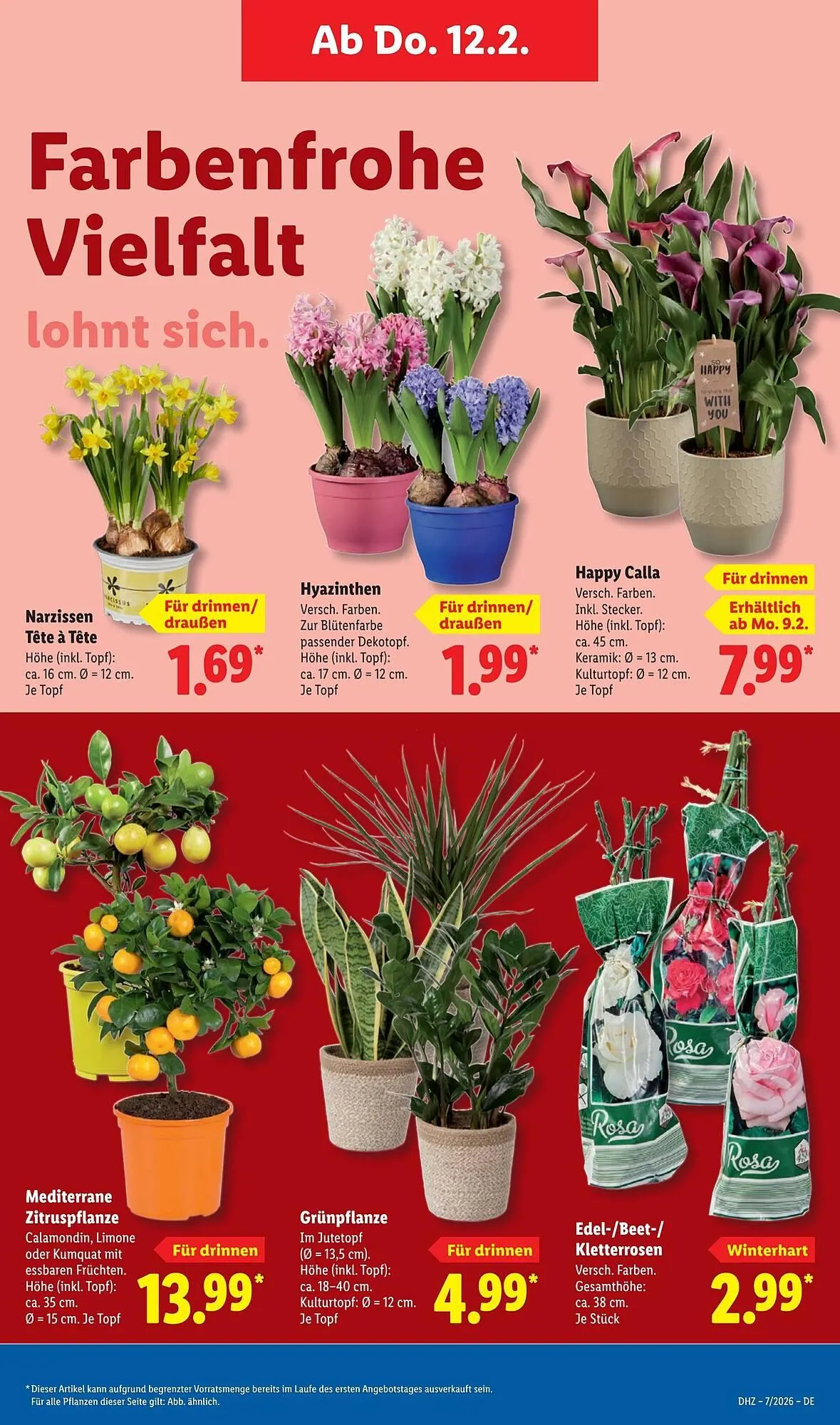 Lidl Prospekt von 9. Februar bis 15. Februar 2026 - Prospekt seite 11