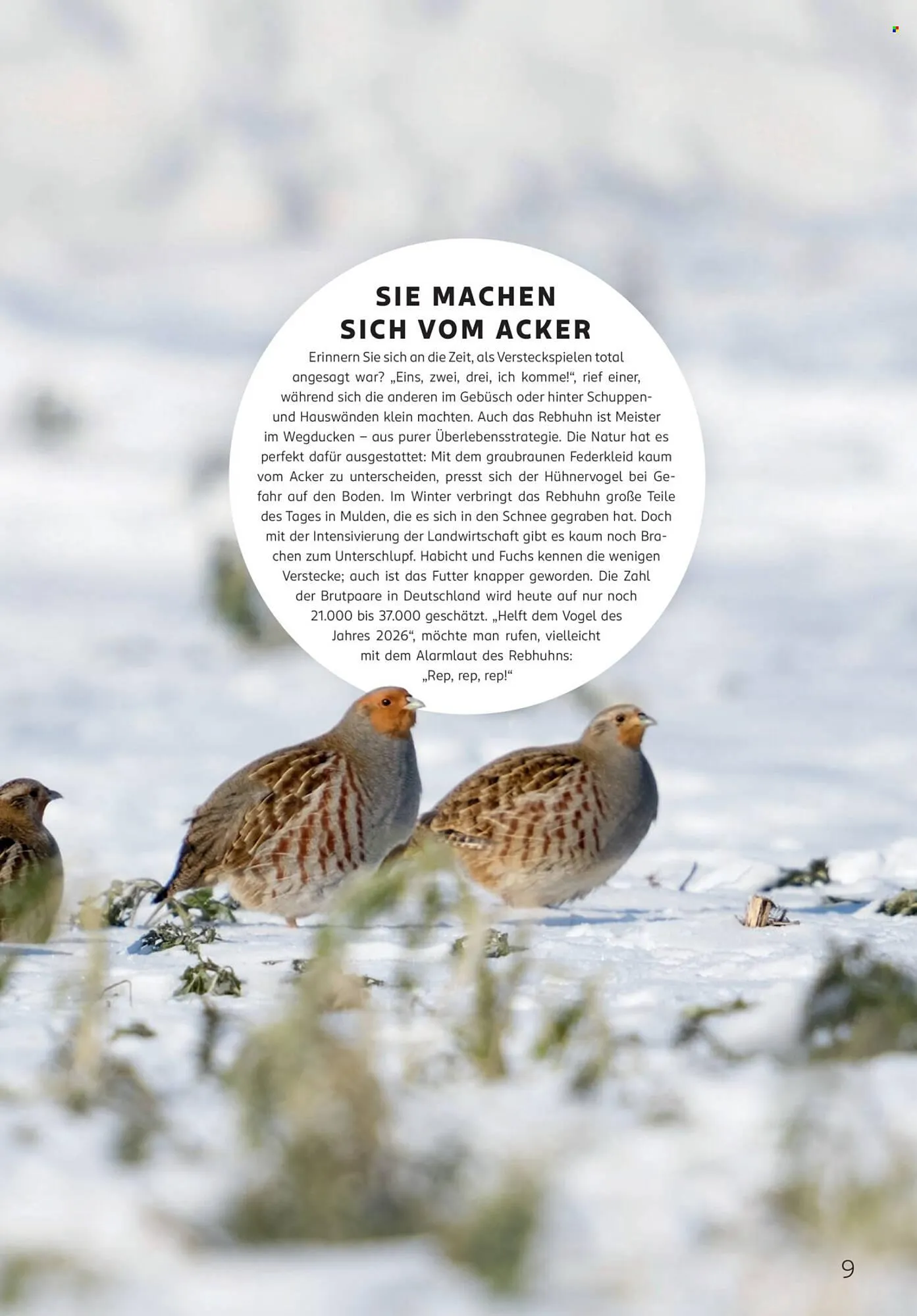 Rossmann Magazin von 1. Januar bis 31. Januar 2026 - Prospekt seite 9