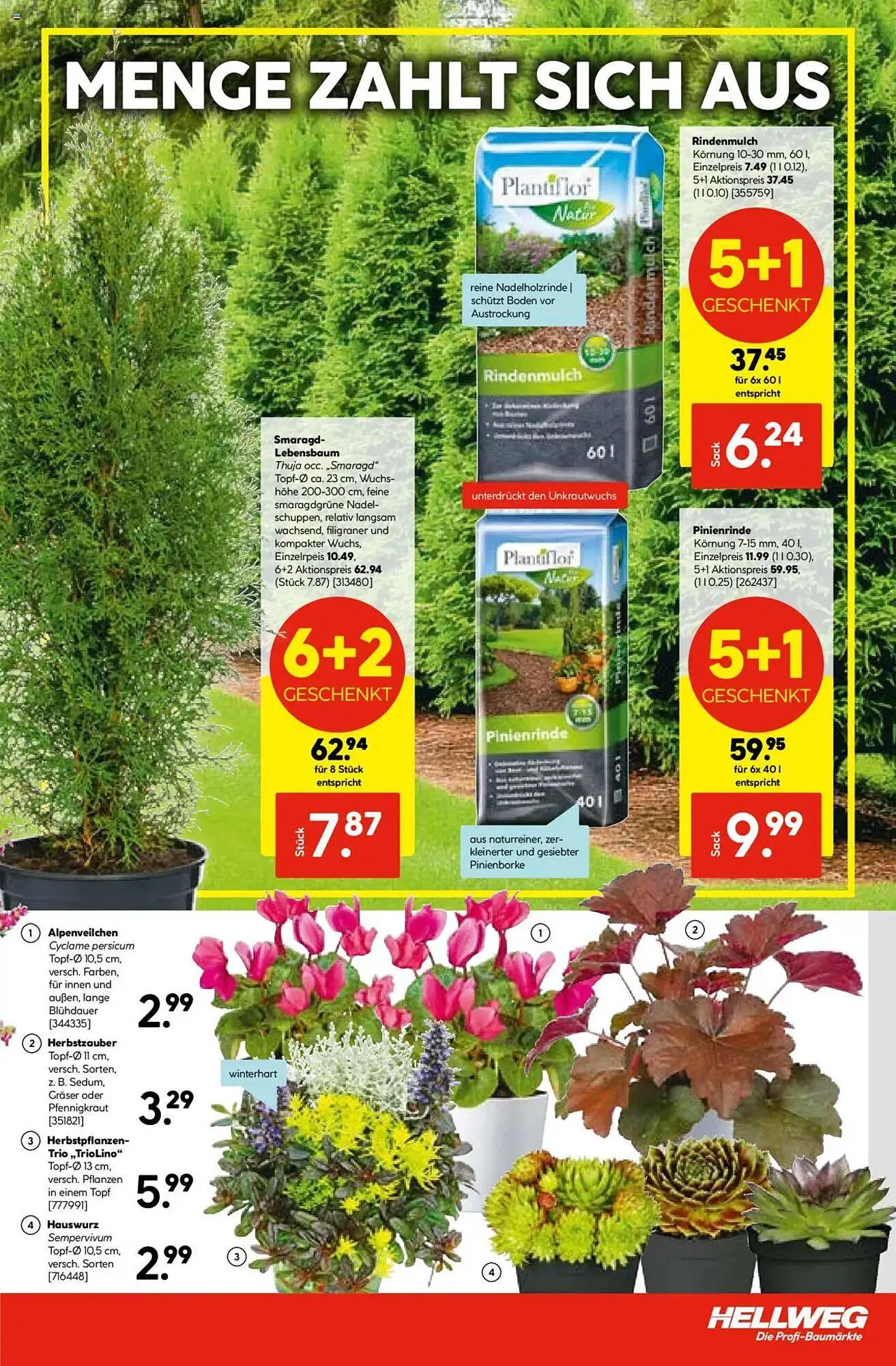 Hellweg Prospekt von 4. August bis 9. August 2025 - Prospekt seite 3