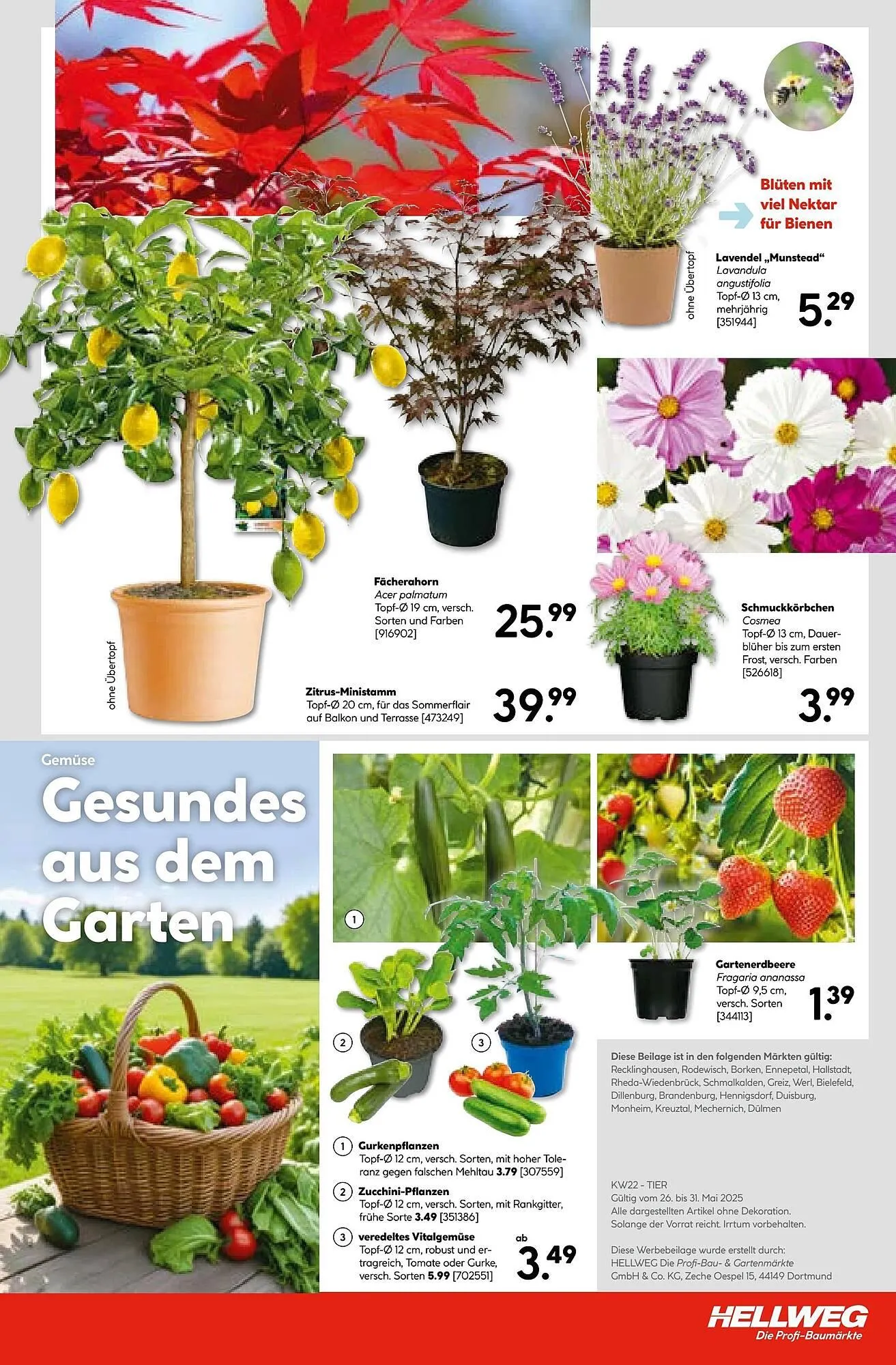 Hellweg Prospekt von 26. Mai bis 1. Juni 2025 - Prospekt seite 23