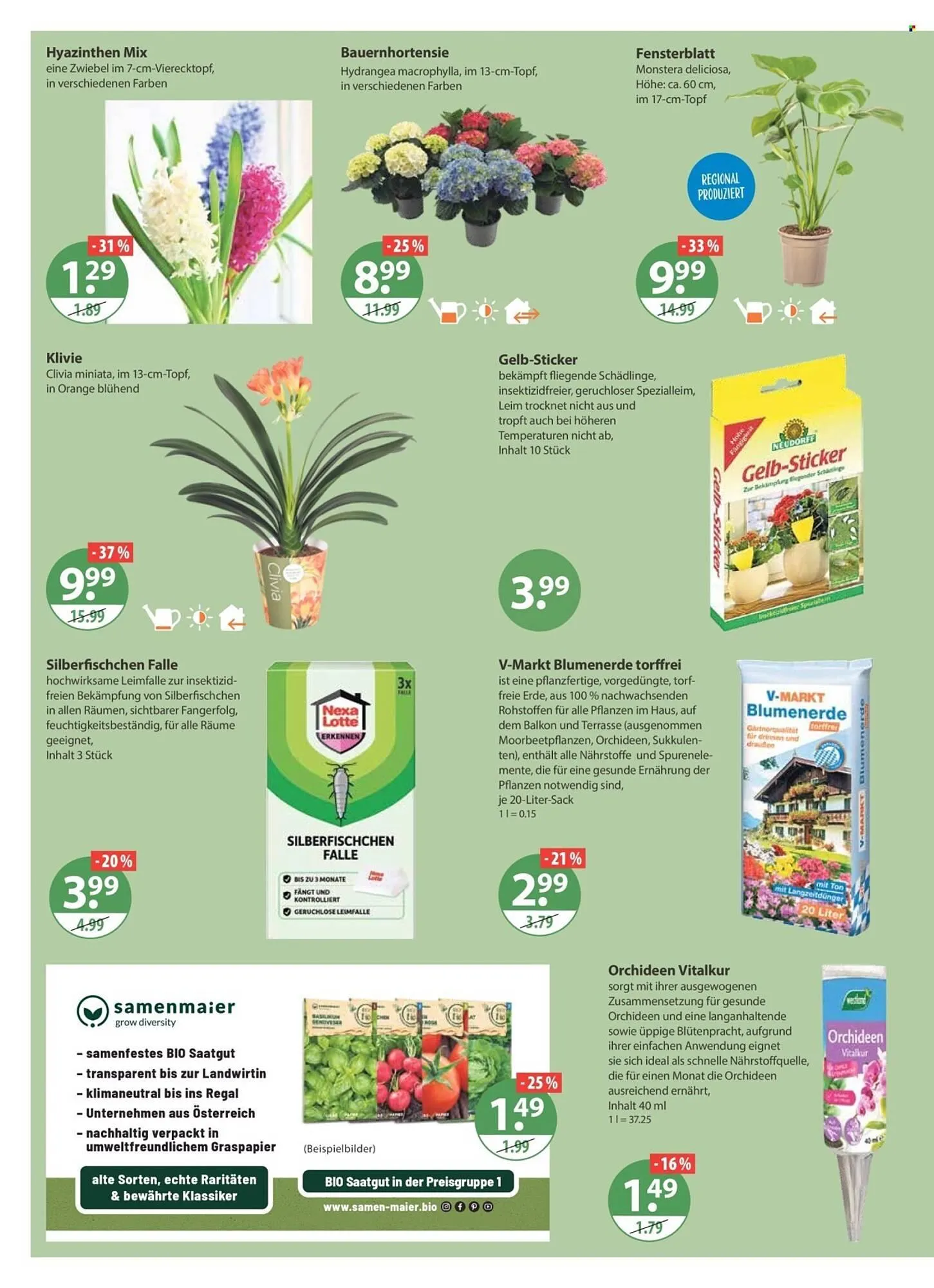 V Markt Prospekt von 29. Januar bis 4. Februar 2026 - Prospekt seite 16