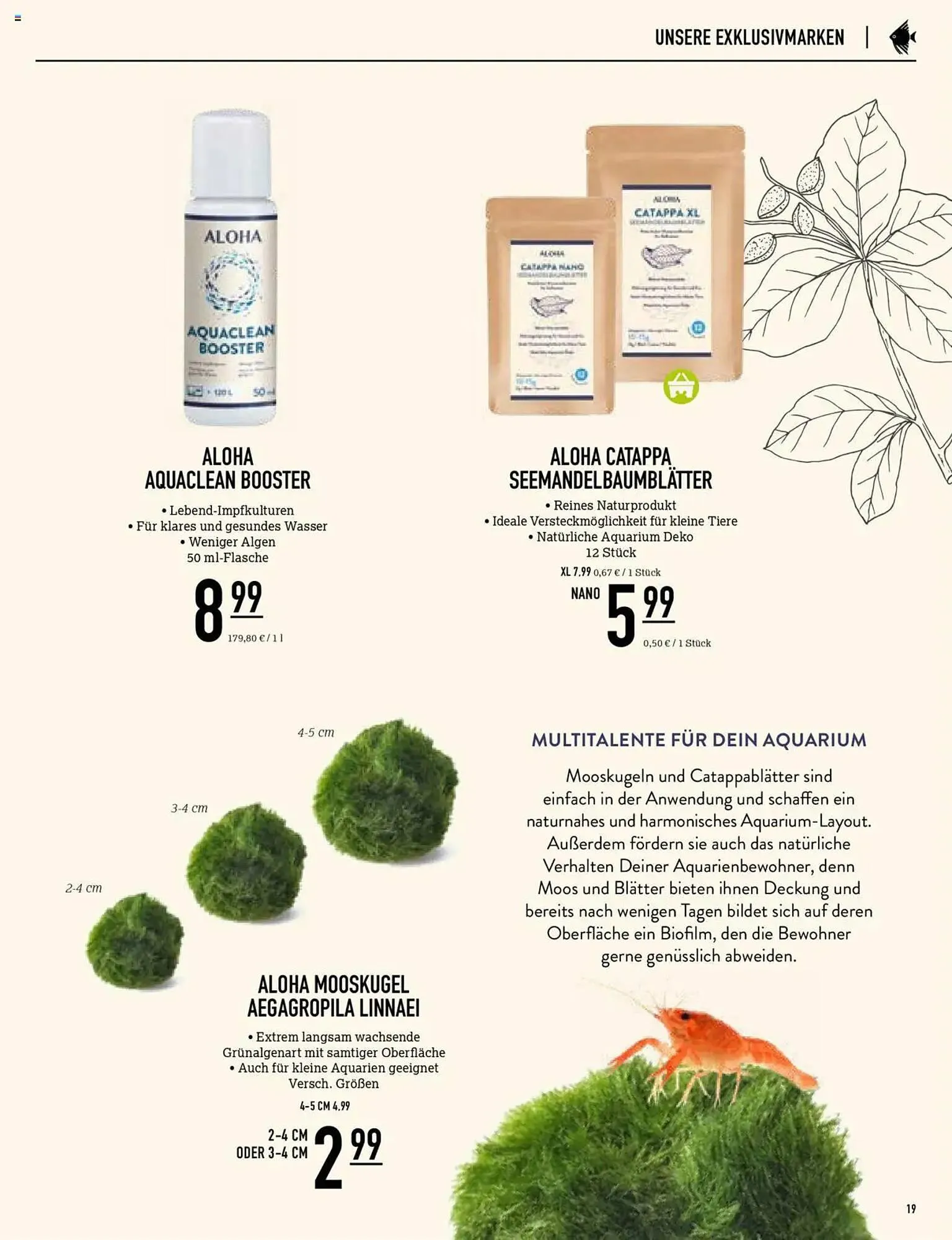 Kölle Zoo Prospekt von 30. Mai bis 5. Juni 2025 - Prospekt seite 19