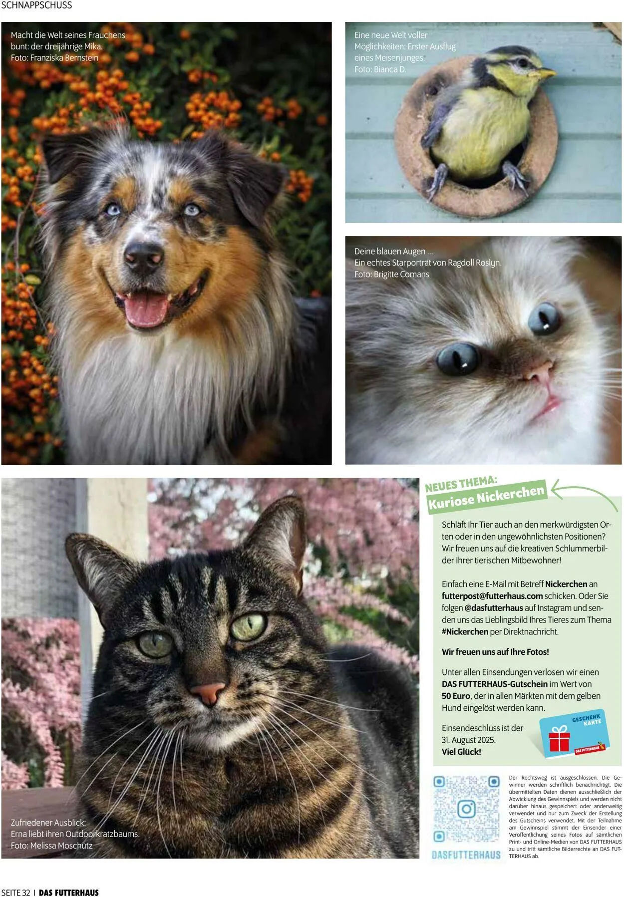 Futterhaus Aktueller Prospekt von 1. August bis 31. August 2025 - Prospekt seite 32