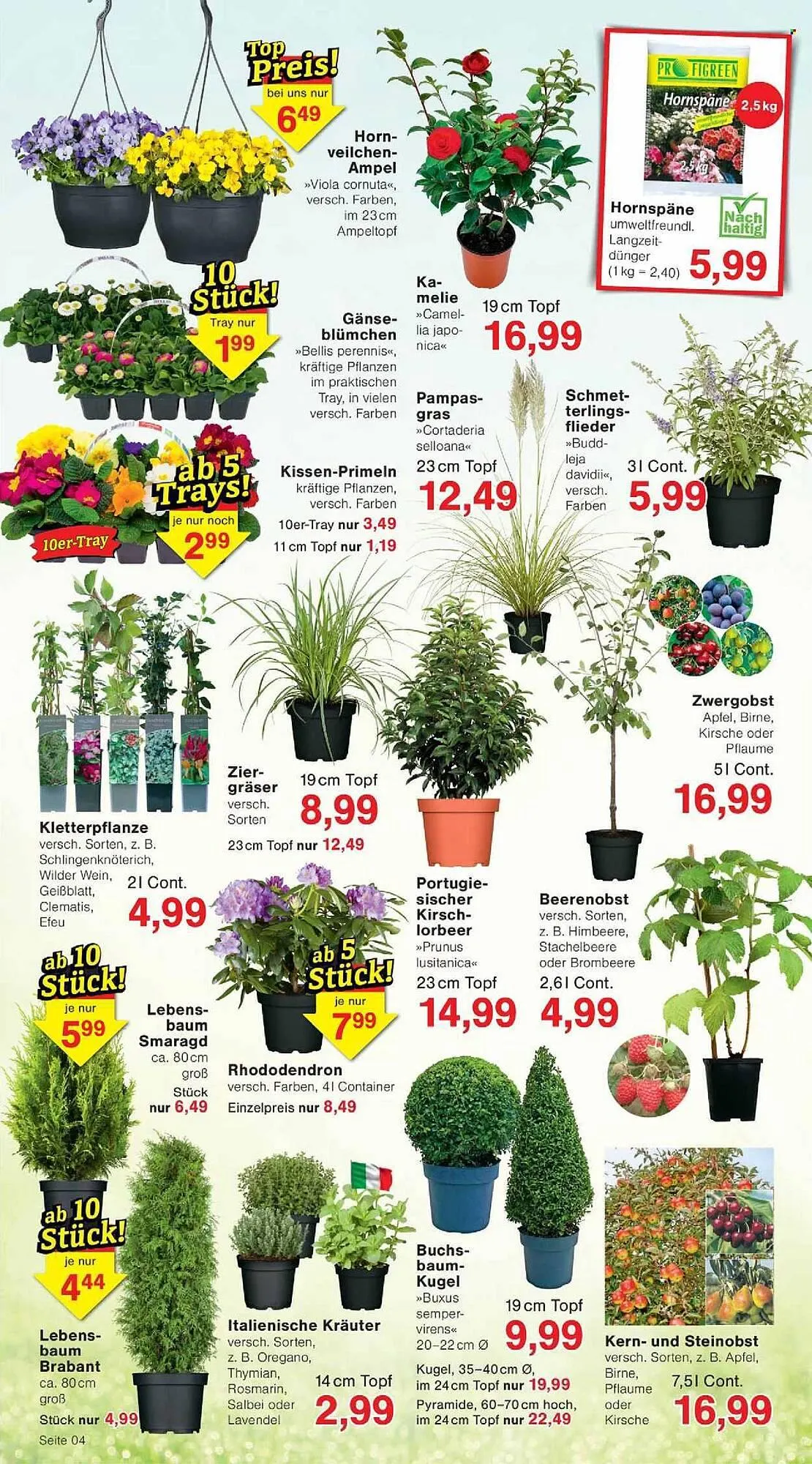 Jawoll Prospekt von 9. März bis 14. März 2026 - Prospekt seite 4