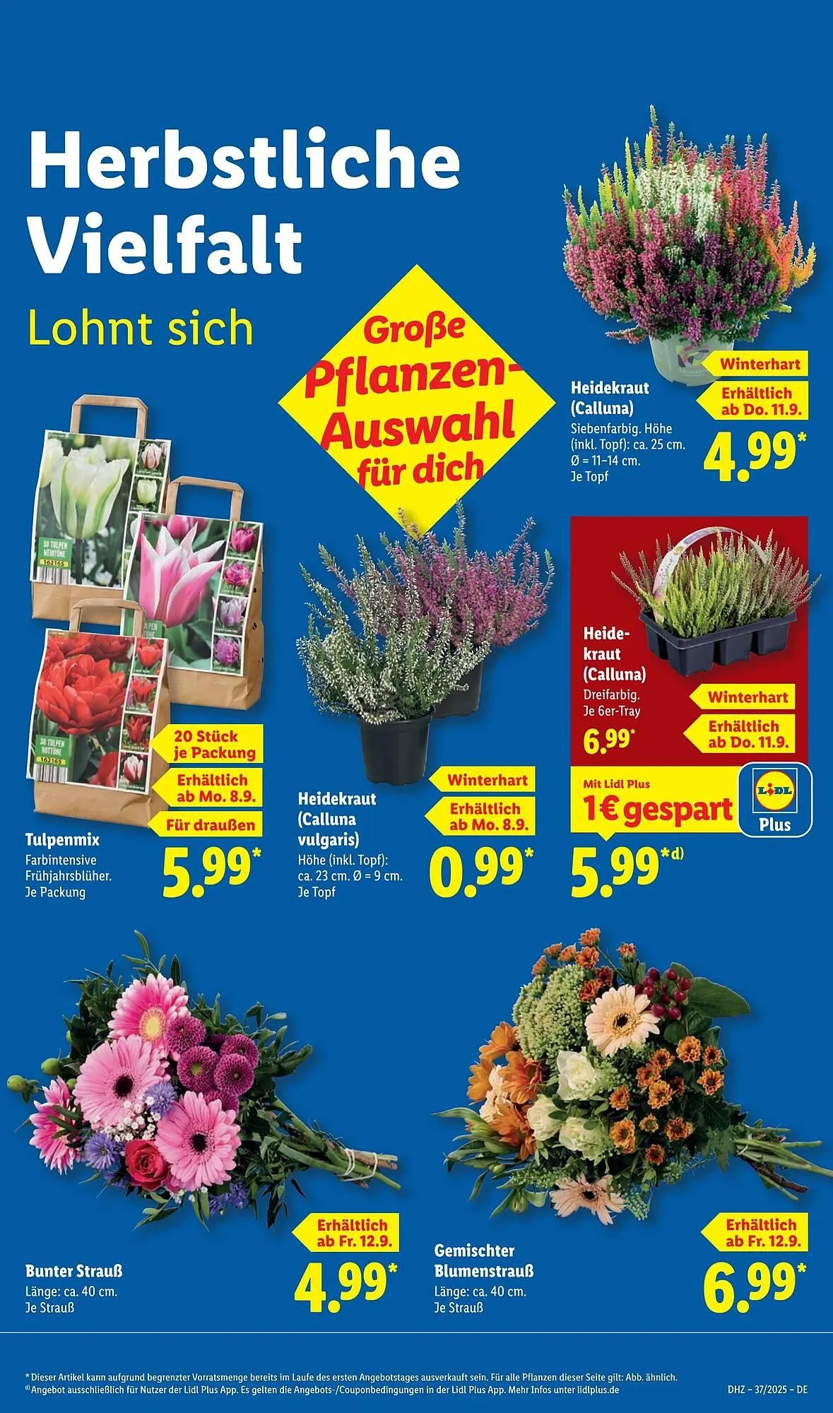 Lidl Prospekt von 8. September bis 14. September 2025 - Prospekt seite 9