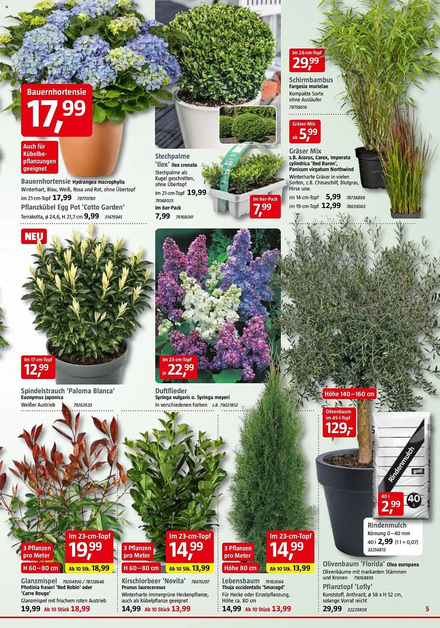 Bauhaus Prospekt von 28. März bis 11. April 2026 - Prospekt seite 5