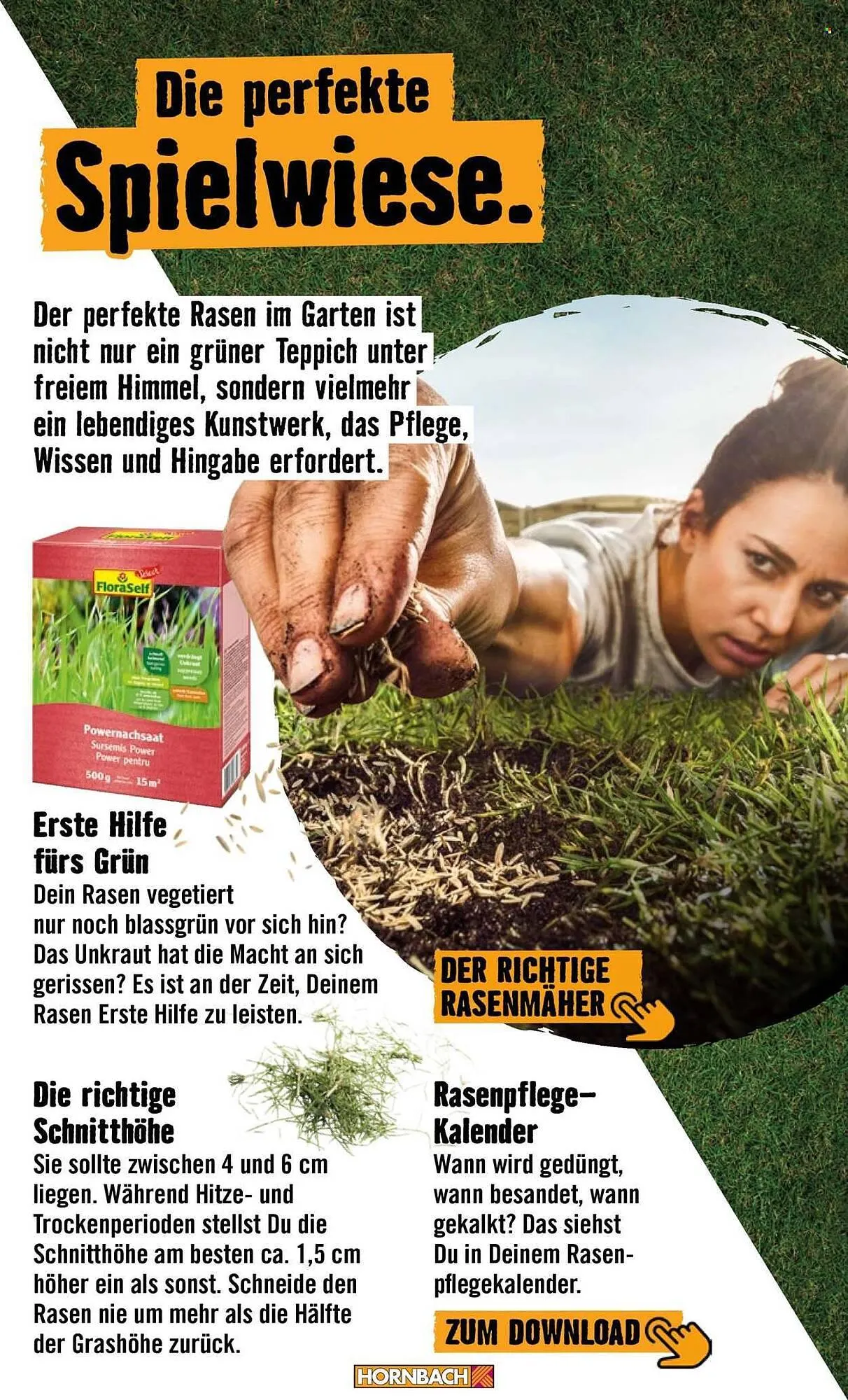 Hornbach Prospekt von 24. April bis 2. Mai 2026 - Prospekt seite 35