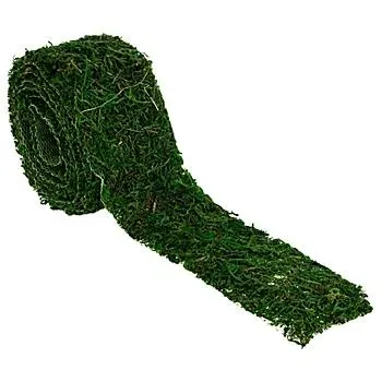 Moosband, 5 cm, 1,2 m