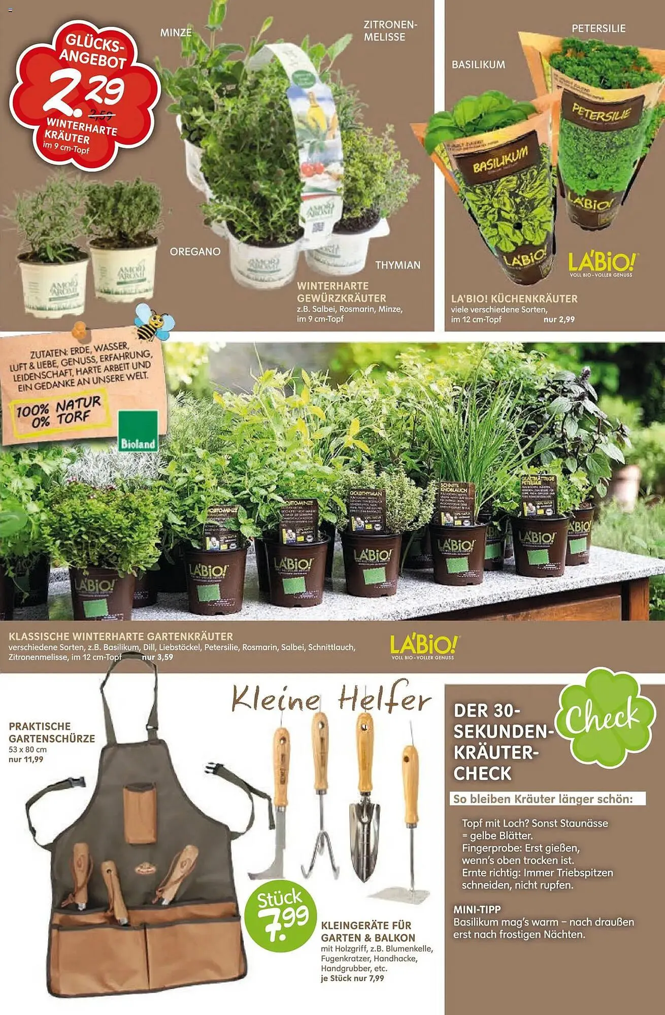 Blumen Risse Prospekt von 12. März bis 22. März 2026 - Prospekt seite 3