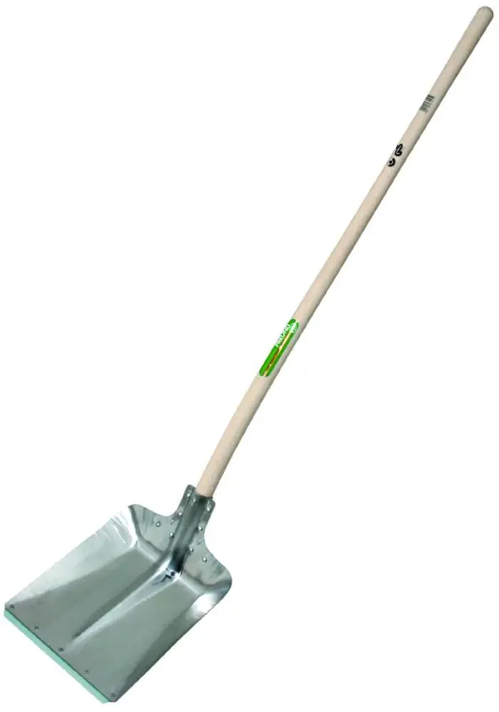 Freund Victoria Hallenser Flachrandschaufel silber