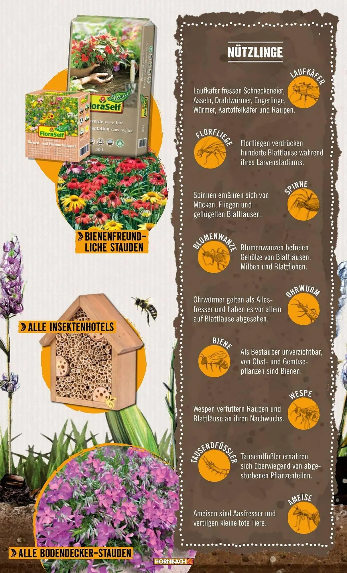 Hornbach Prospekt von 1. April bis 7. April 2025 - Prospekt seite 15