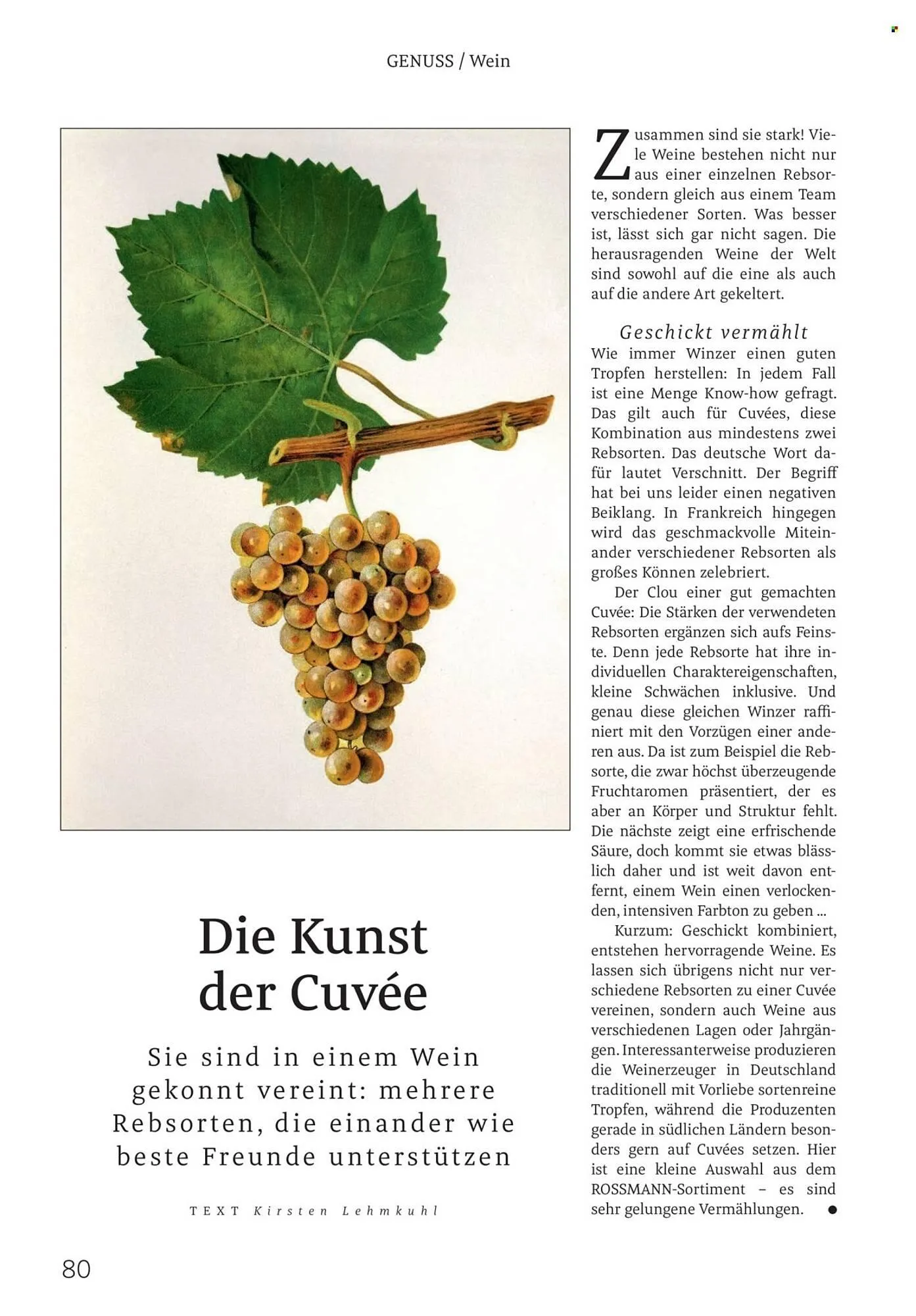 Rossmann Magazin von 1. Februar bis 28. Februar 2026 - Prospekt seite 80