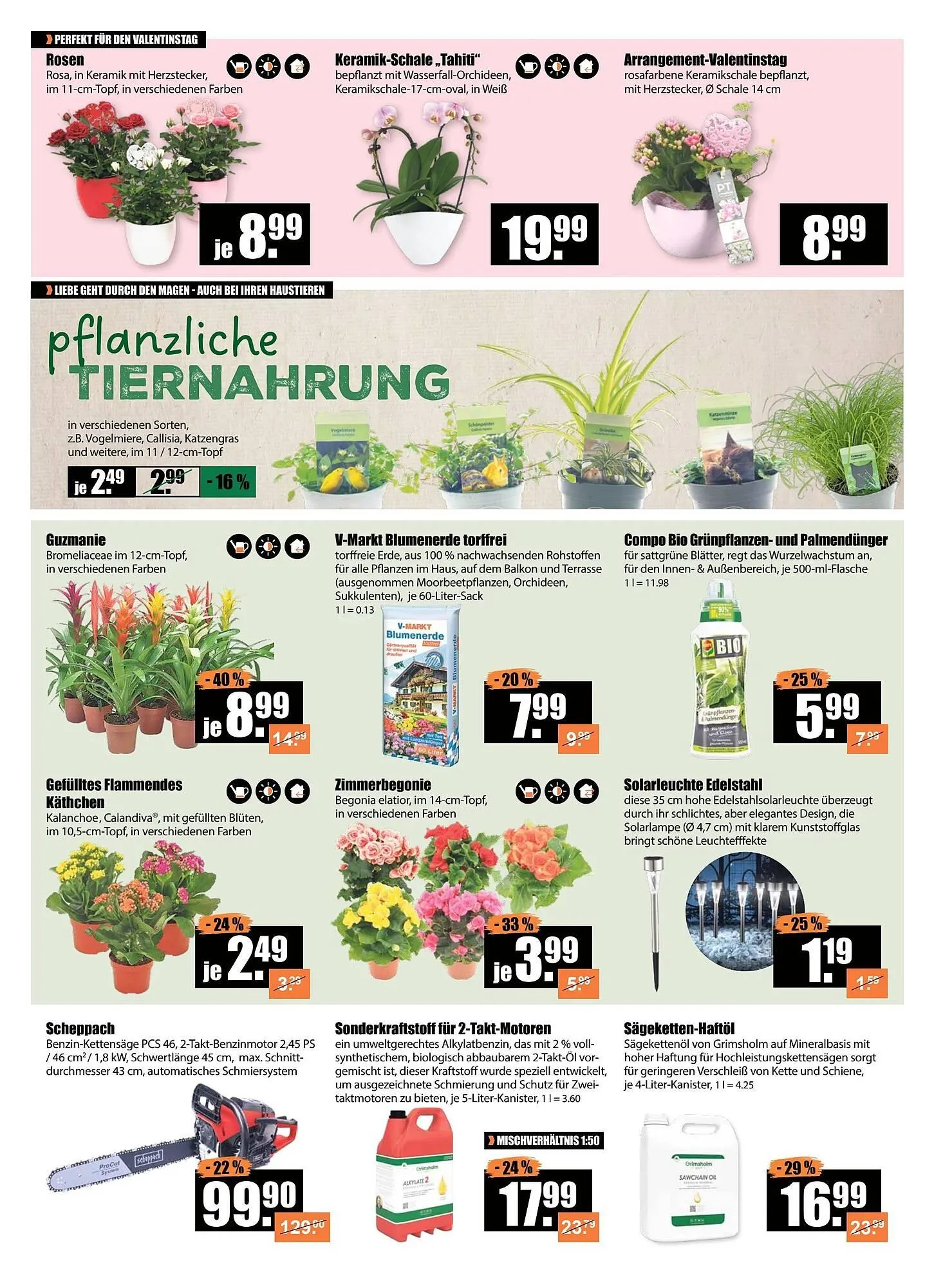 V Baumarkt Prospekt von 5. Februar bis 12. Februar 2026 - Prospekt seite 2