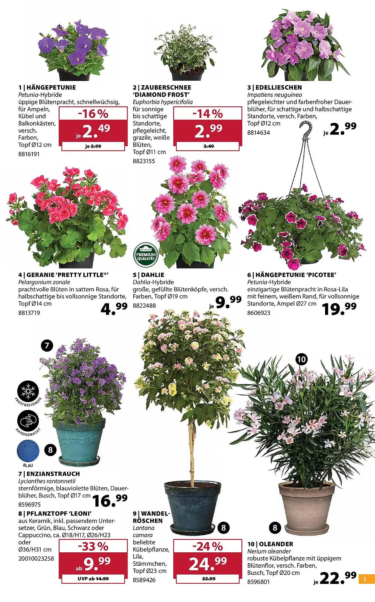 Dehner Prospekt von 21. April bis 27. April 2026 - Prospekt seite 3