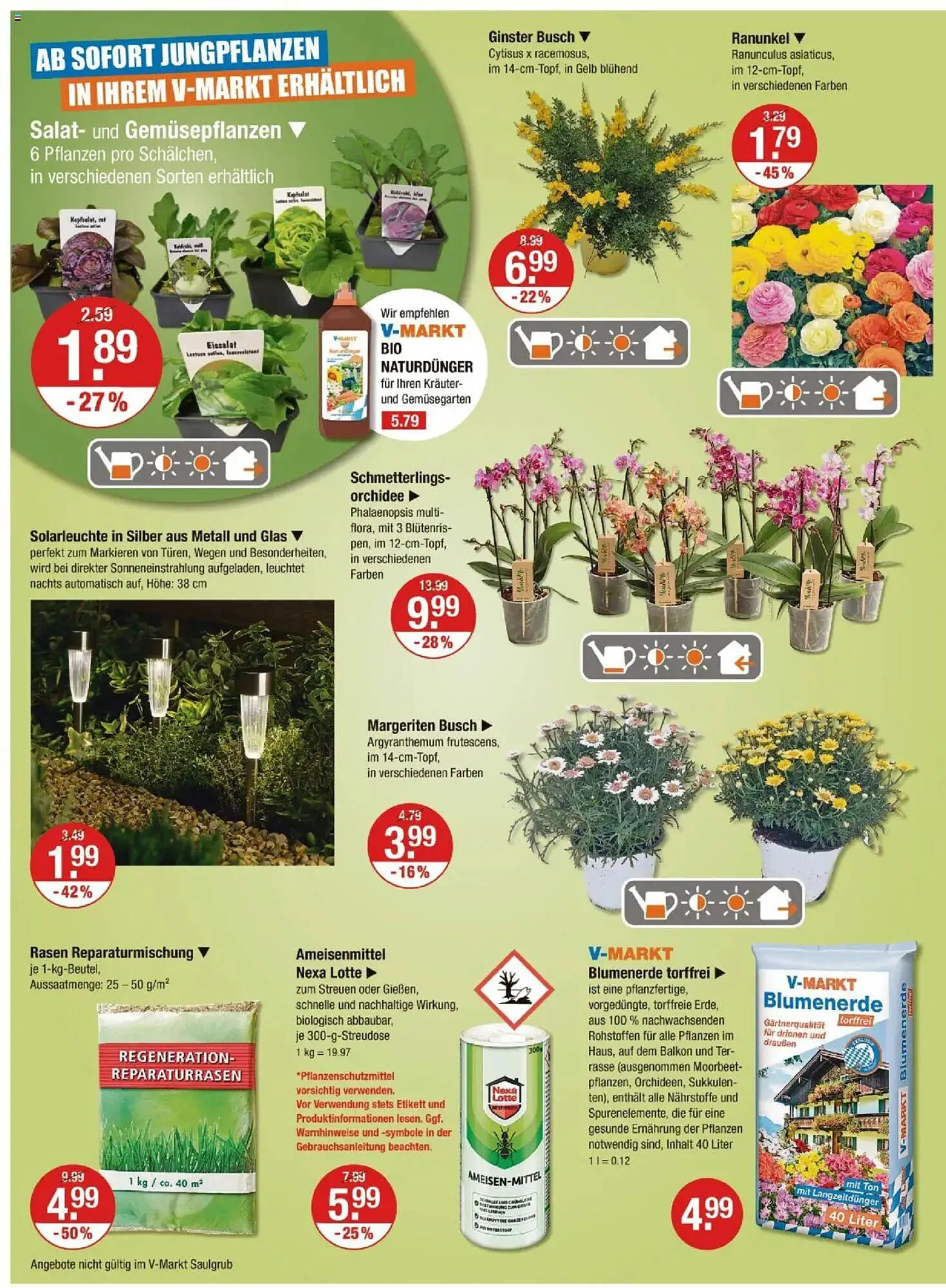 V Markt Prospekt von 27. März bis 2. April 2025 - Prospekt seite 24
