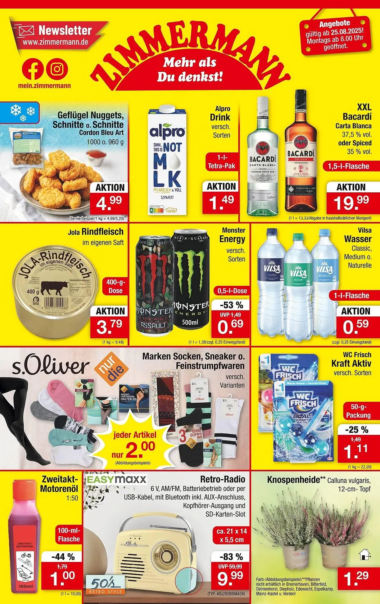 Zimmermann Prospekt - 1